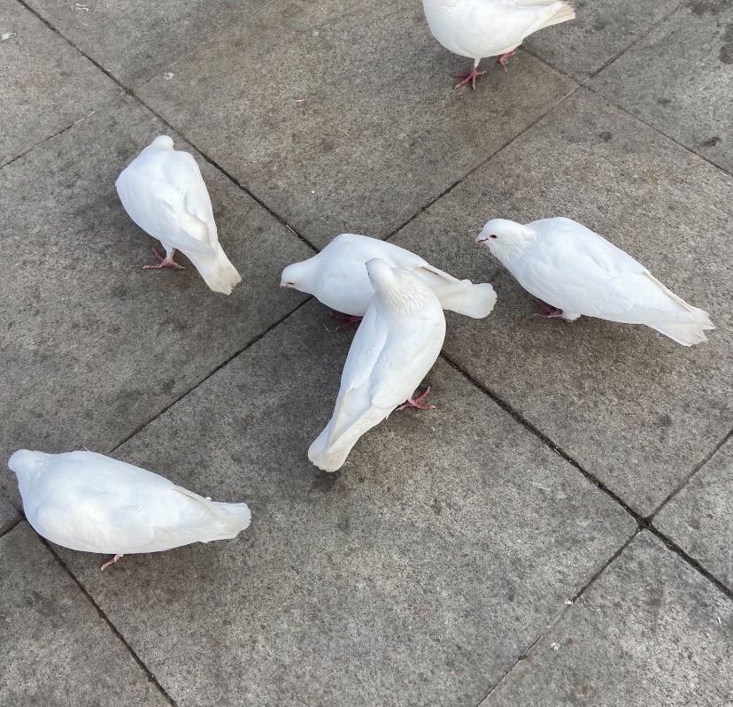 全民健身广场公园旅行图片 3
