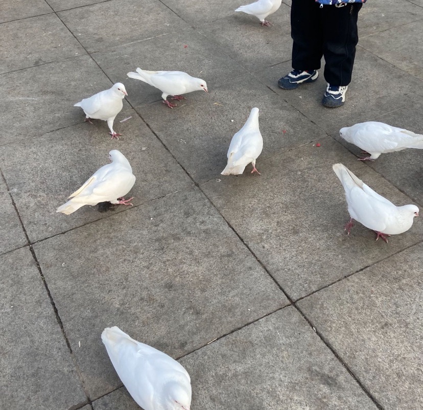 全民健身广场公园旅行图片 1