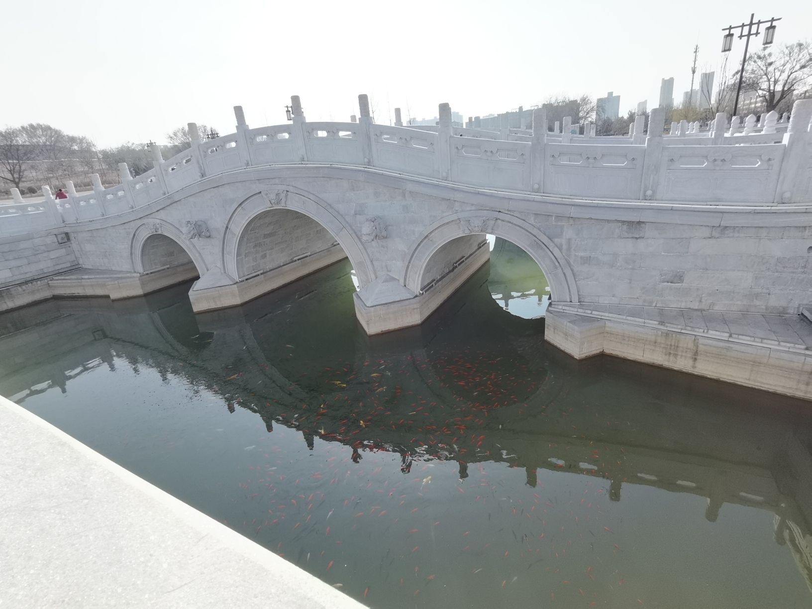 双塔公园旅行图片 2