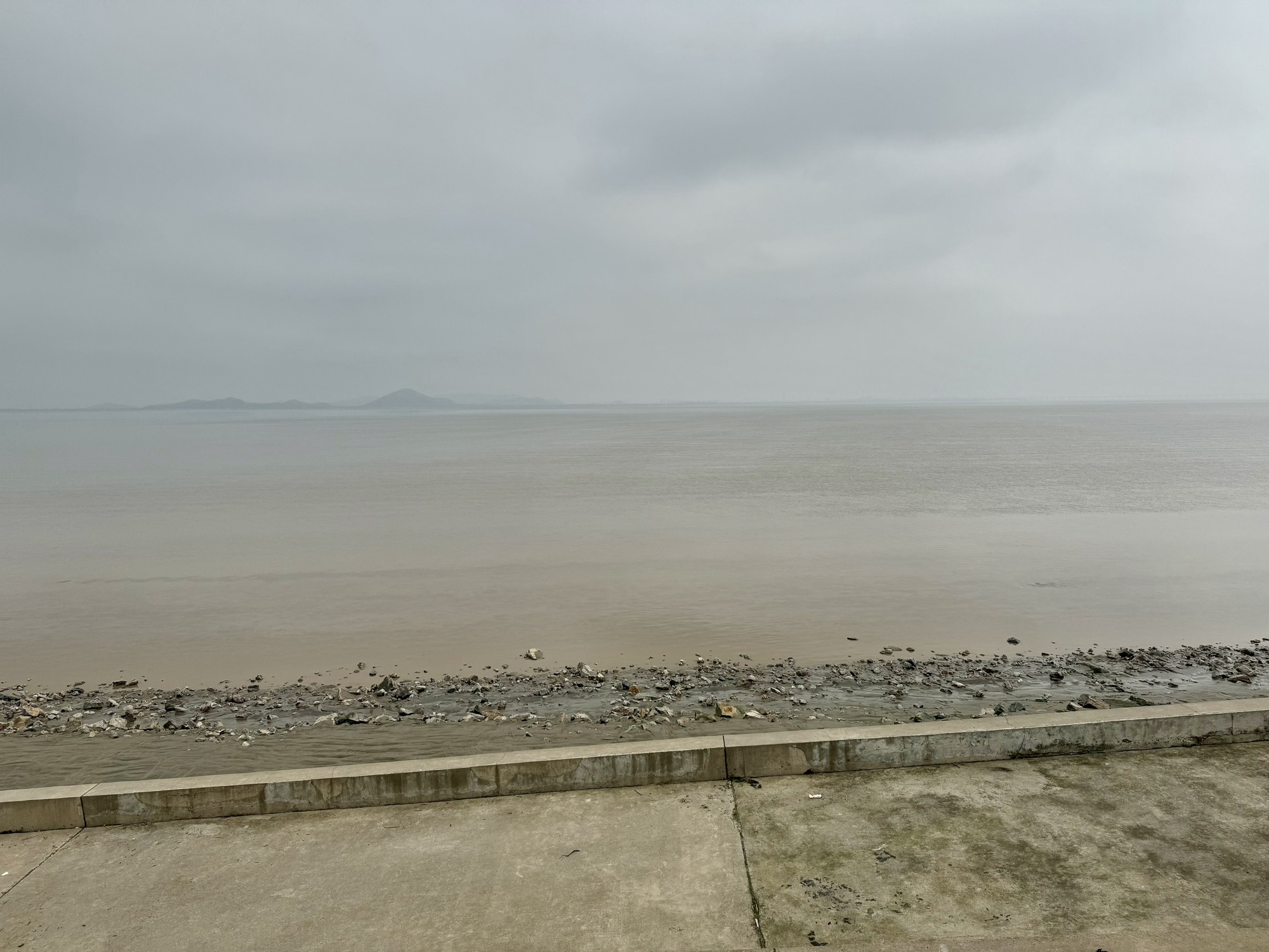 杭州钱塘大湾区湿地公园旅行图片 3