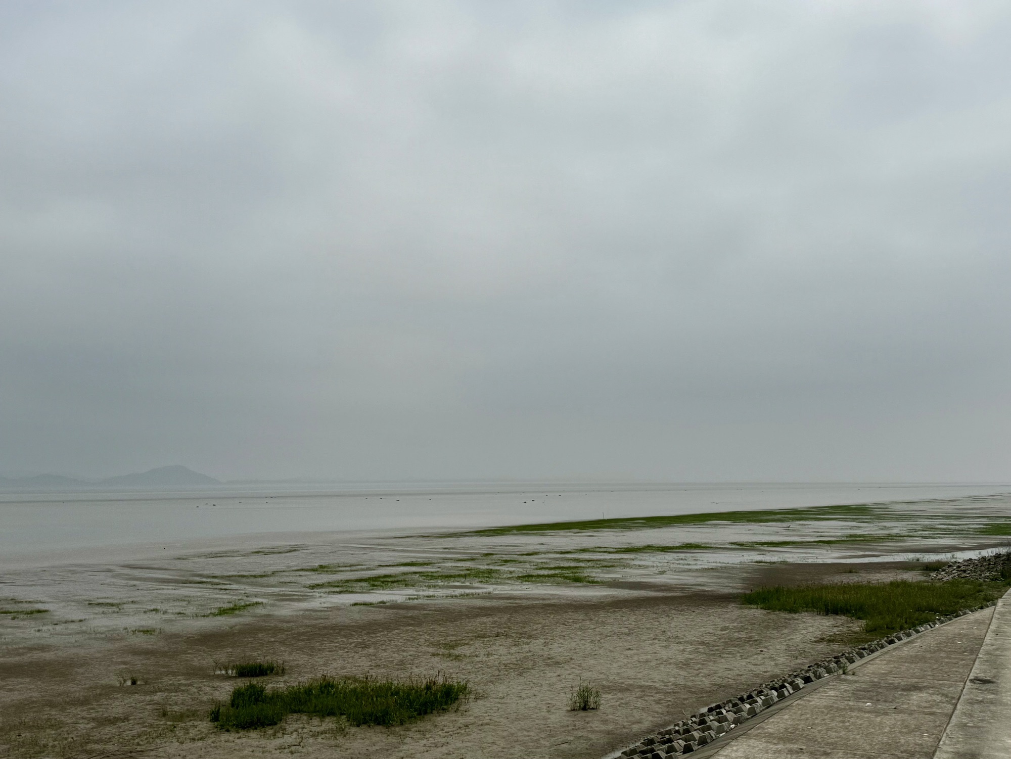 杭州钱塘大湾区湿地公园旅行图片 1