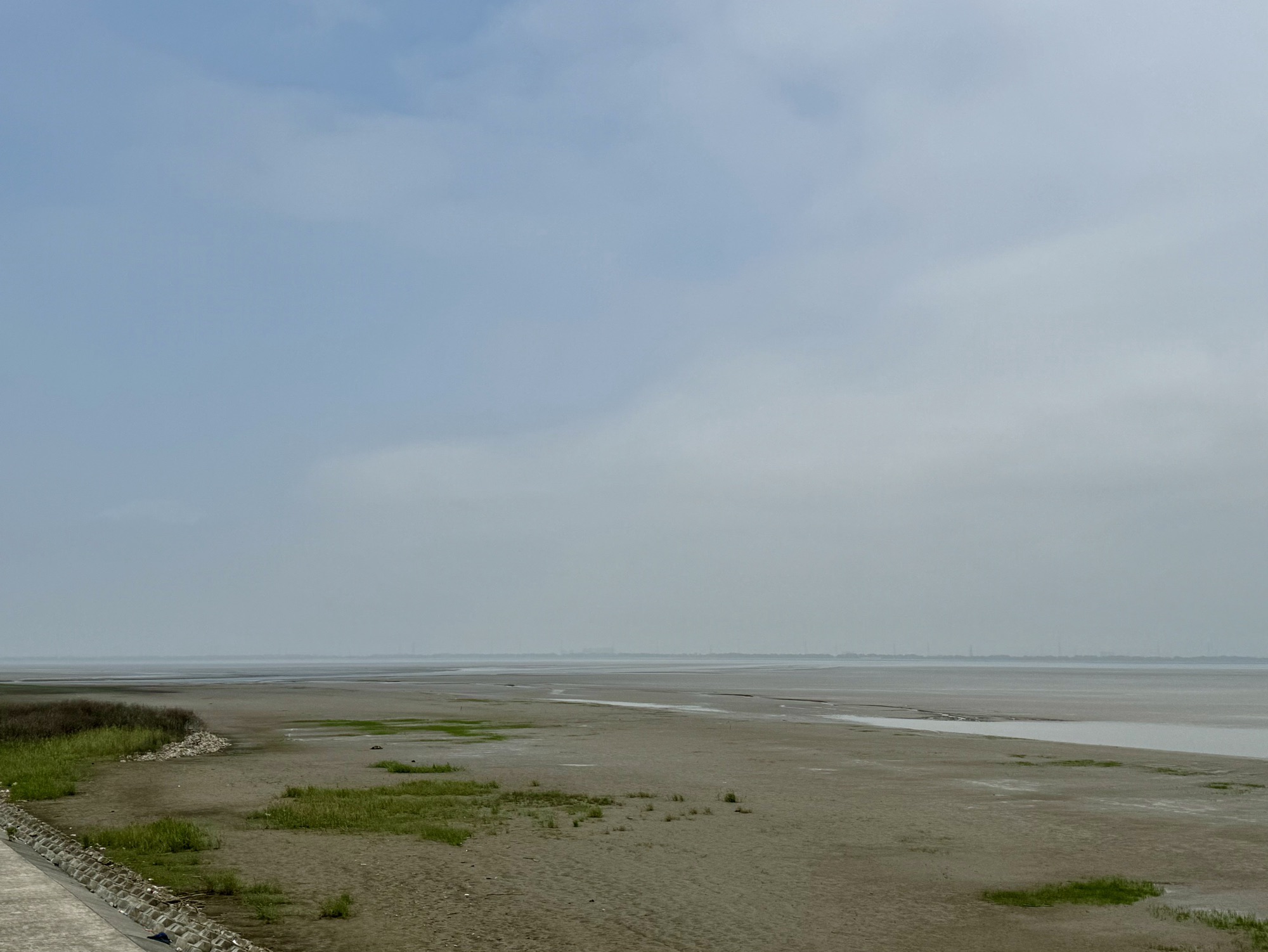 杭州钱塘大湾区湿地公园旅行图片 2