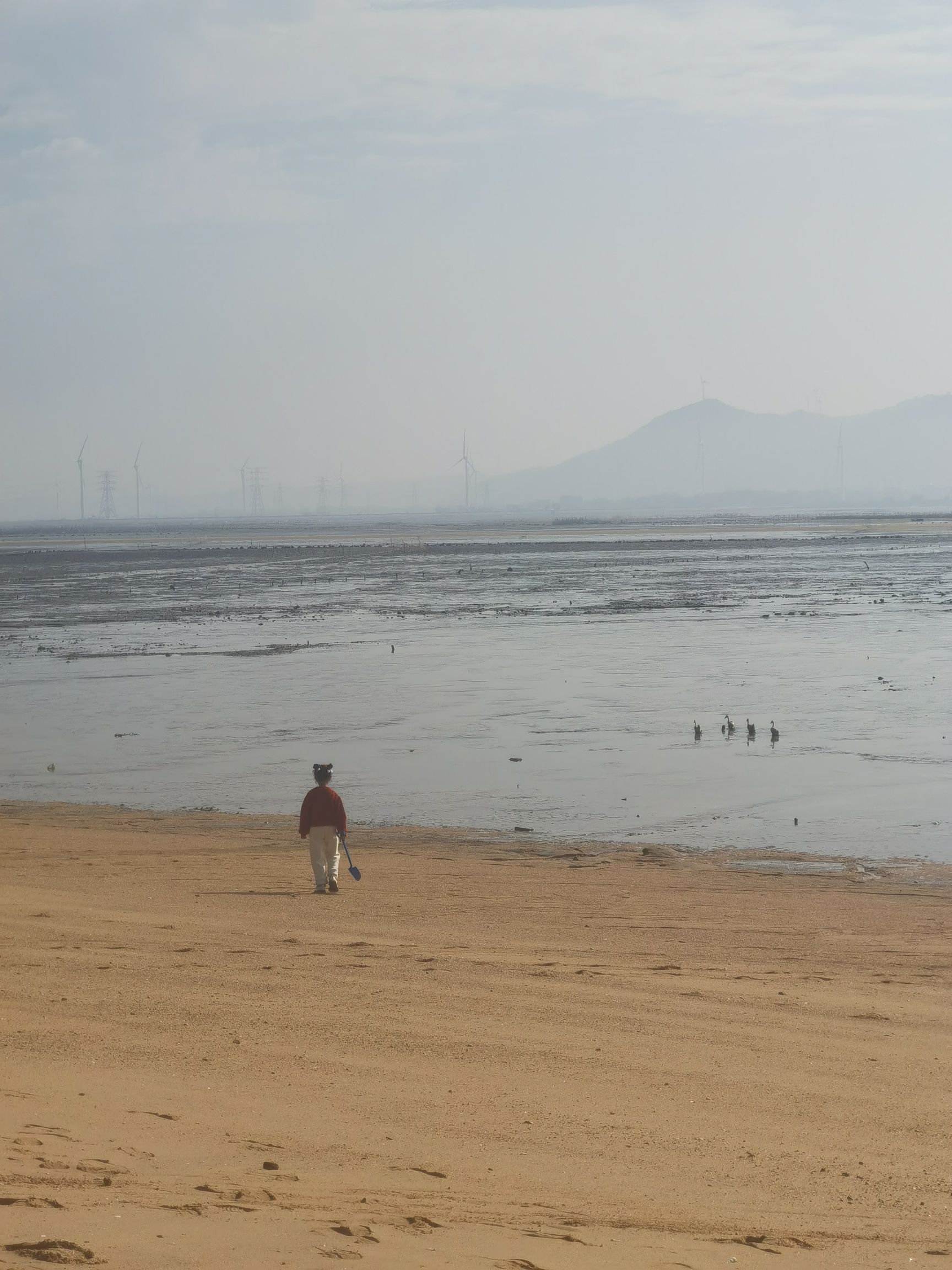 东潘社区滨海旅游区旅行图片 1