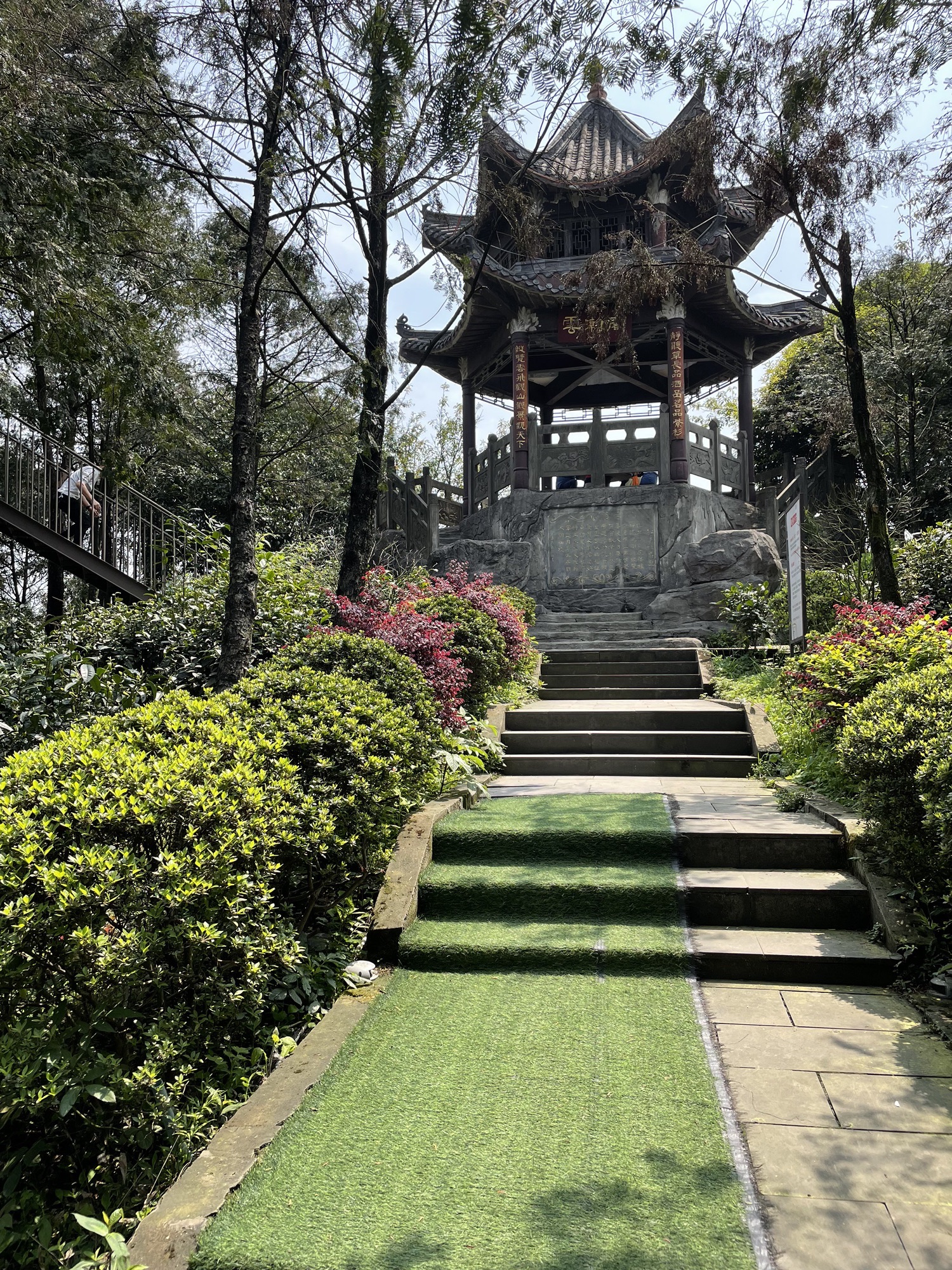 红豆杉谷景区旅行图片 3