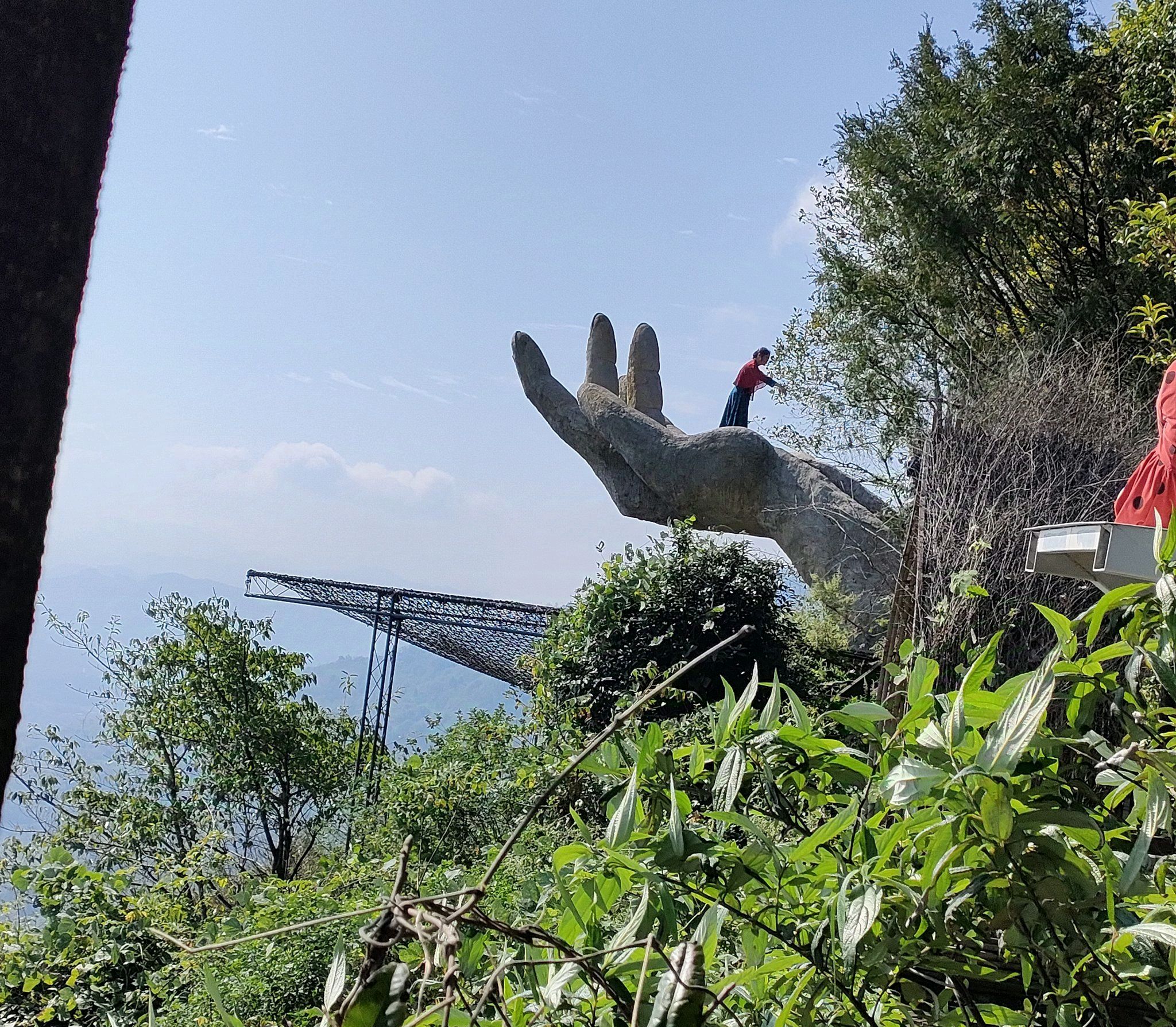 红豆杉谷景区旅行图片 1