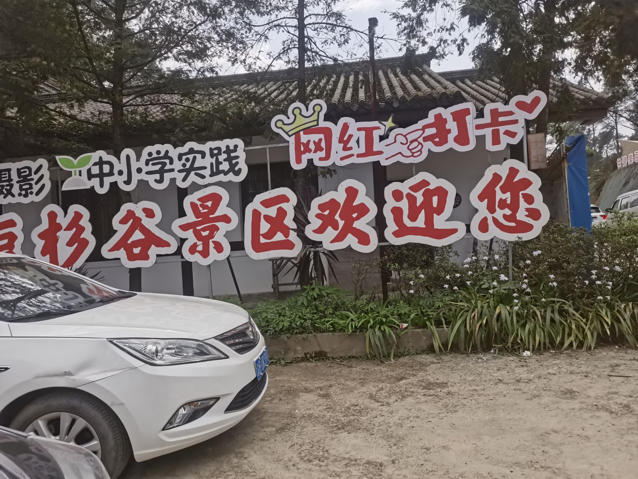 红豆杉谷景区旅行图片 2