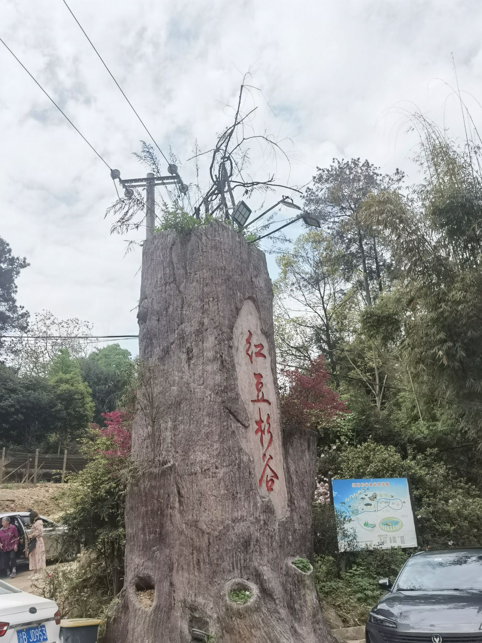 红豆杉谷景区旅行图片 3