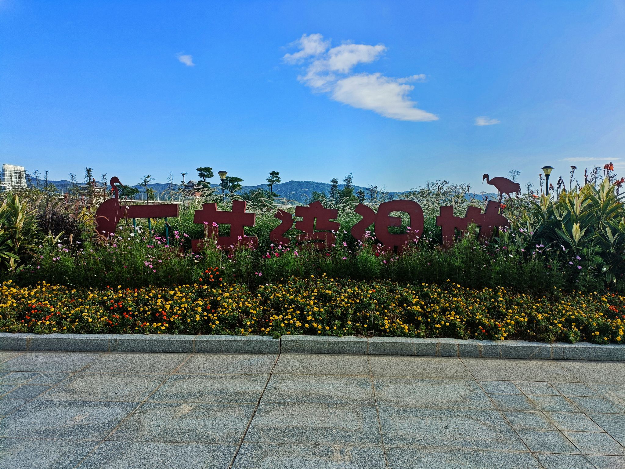 横琴国家湿地公园(二井湾)