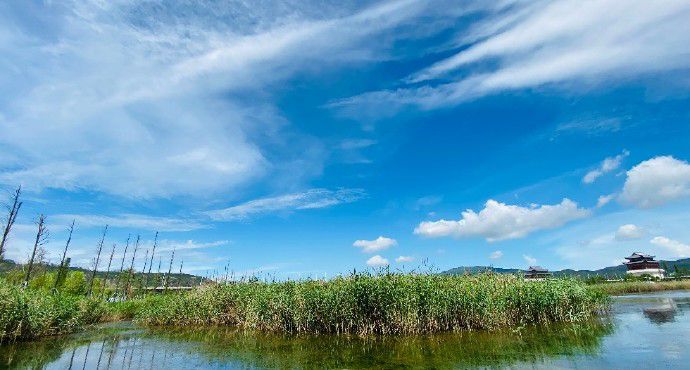 横琴国家湿地公园(二井湾)
