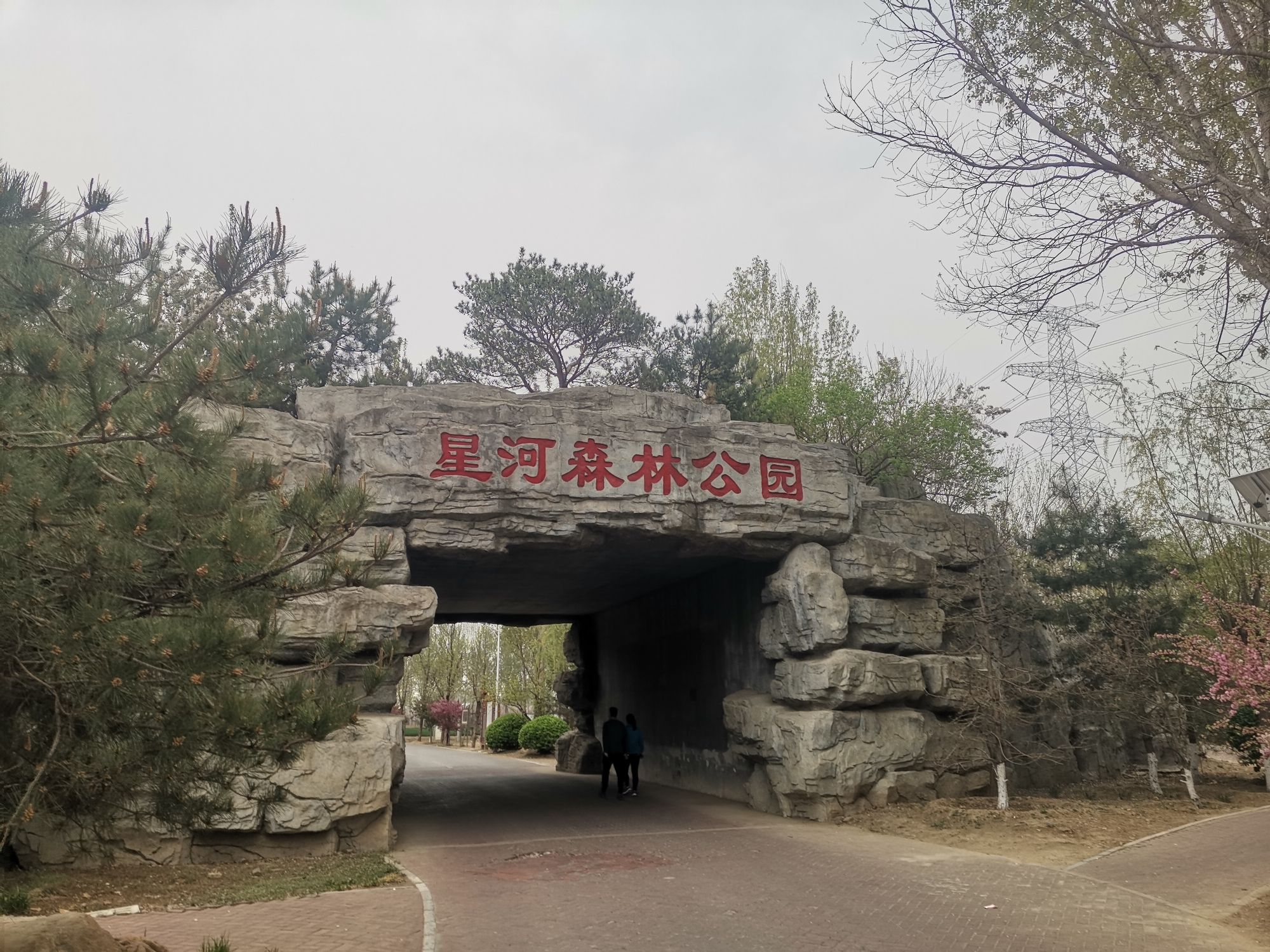 星河森林公园旅行图片 2