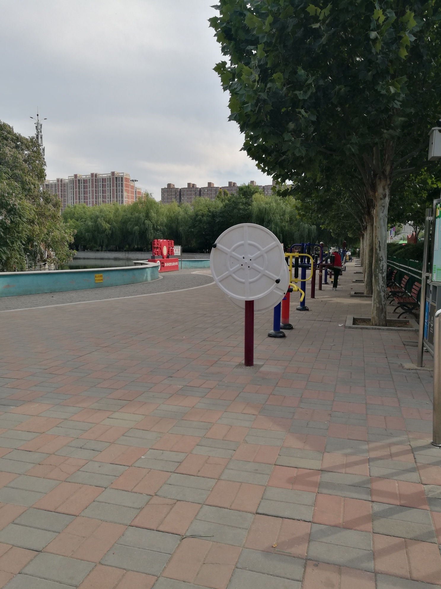 星河森林公园旅行图片 3
