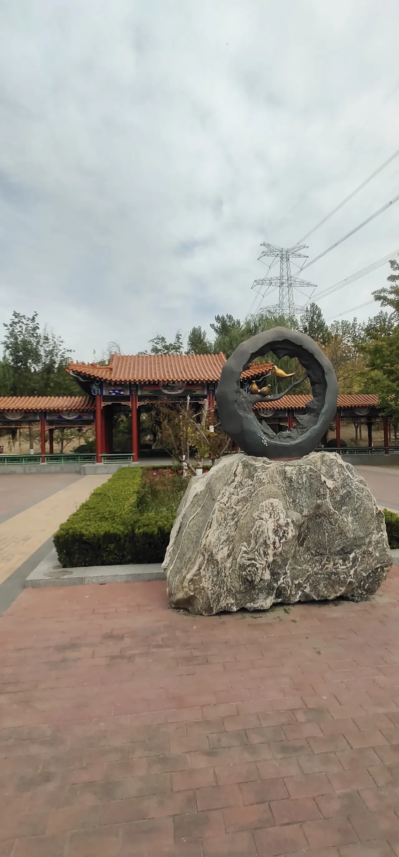 星河森林公园旅行图片 2