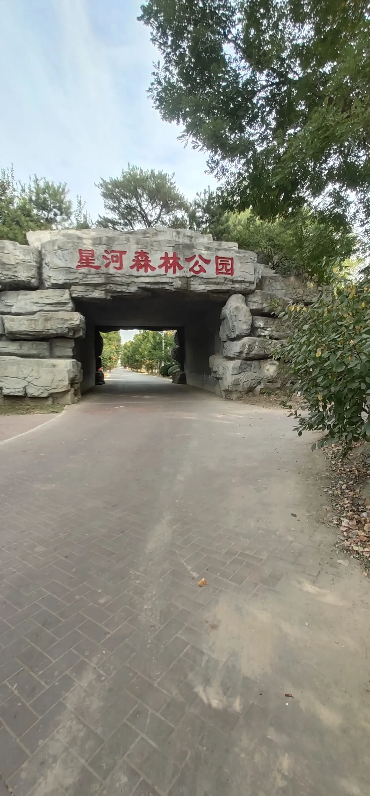 星河森林公园旅行图片 1