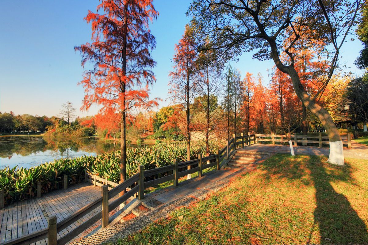 廉州云湖风景区旅行图片 2