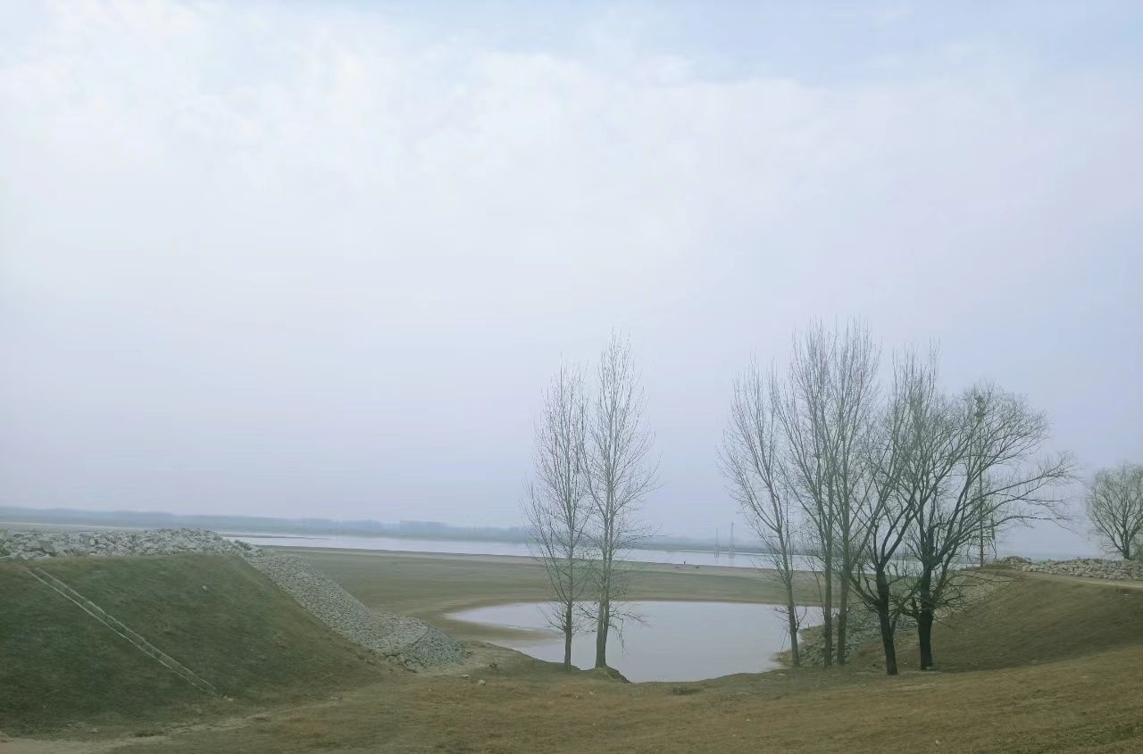 东明黄河湾公园旅行图片 3