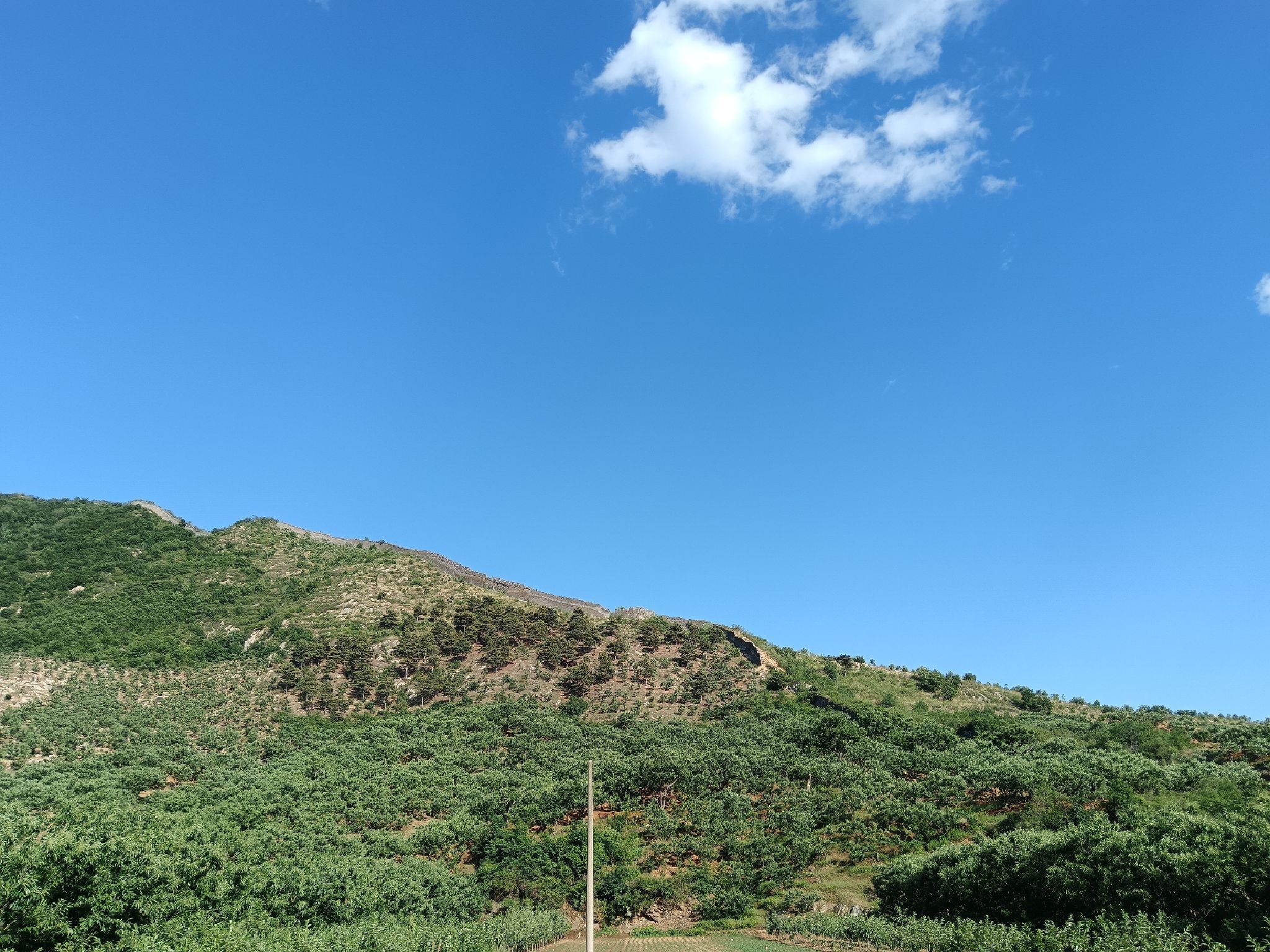 洪山口长城旅行图片 1