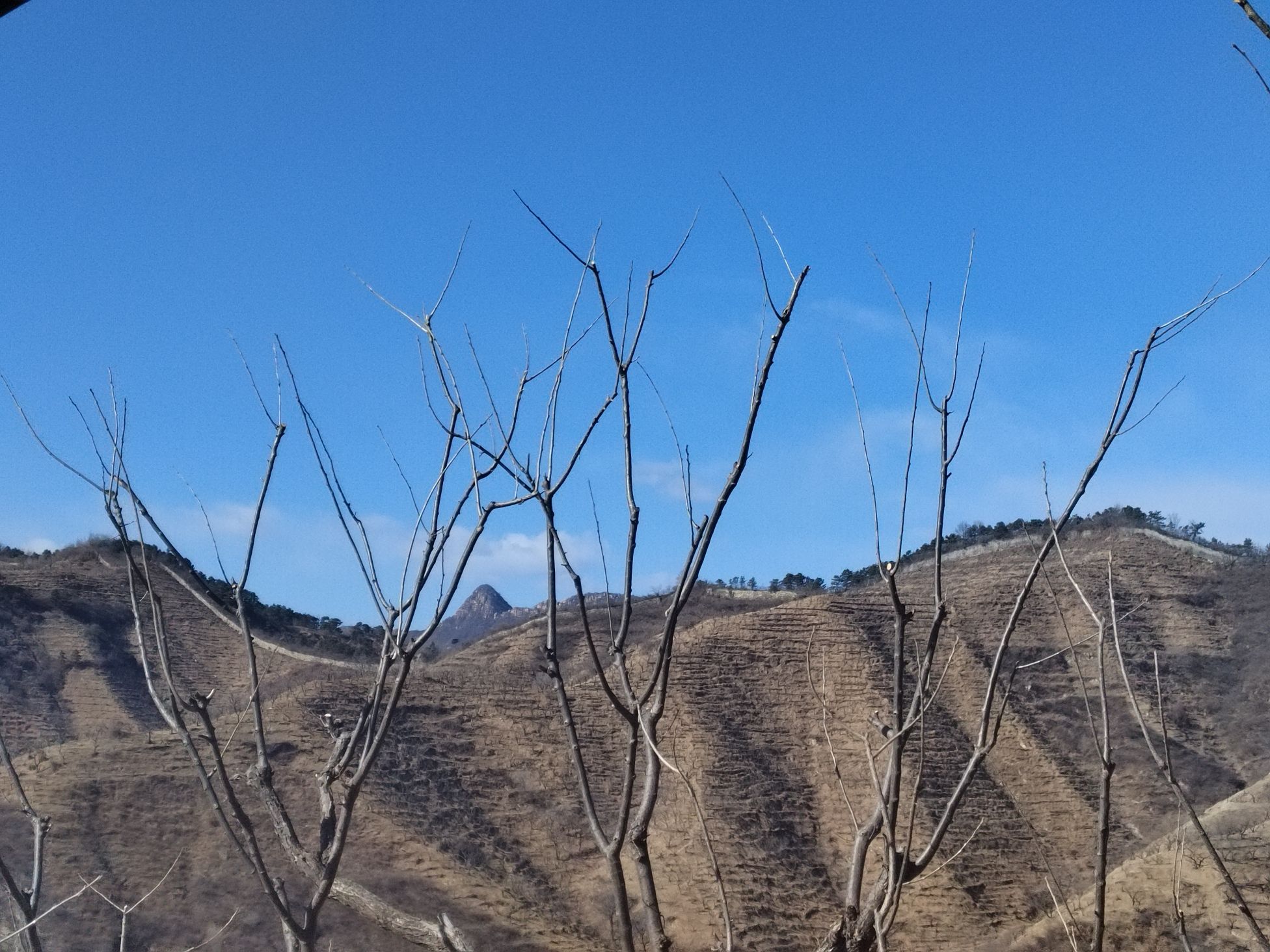 洪山口长城旅行图片 1