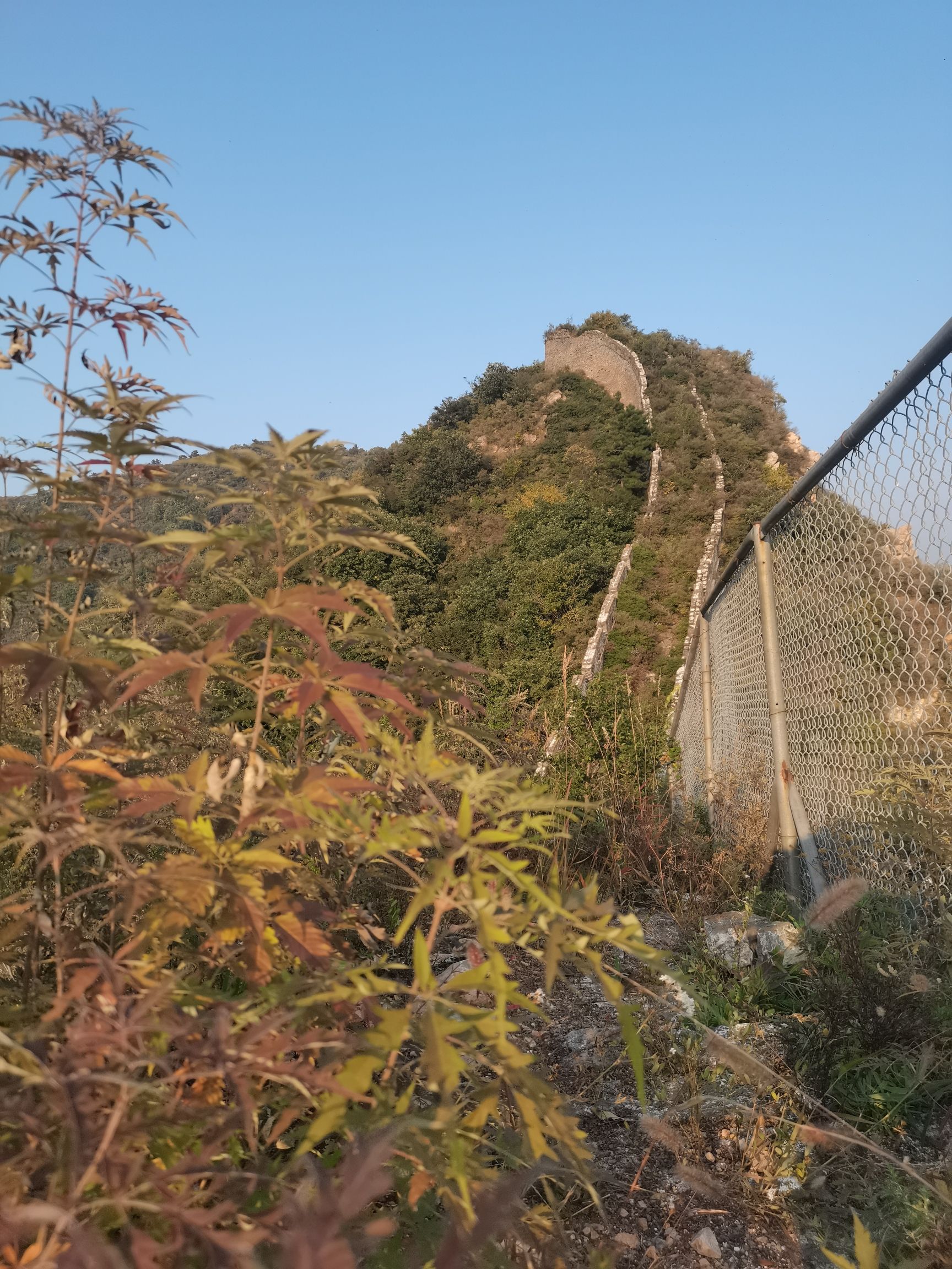 洪山口长城旅行图片 1