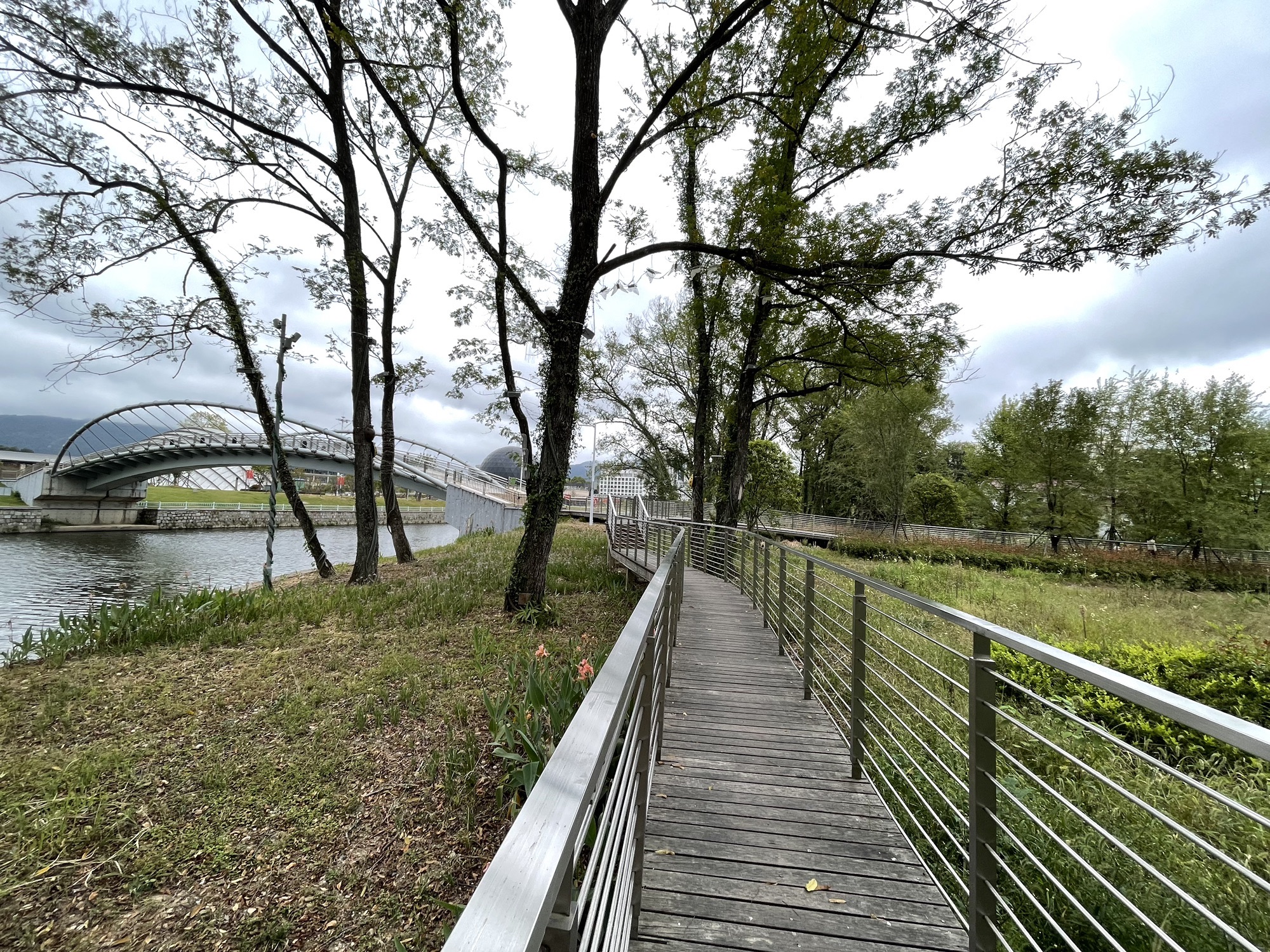 浦溪河网红沙滩旅行图片 1