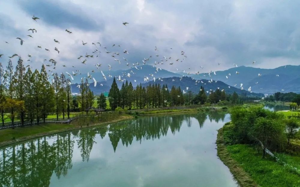 浦溪河网红沙滩旅行图片 3