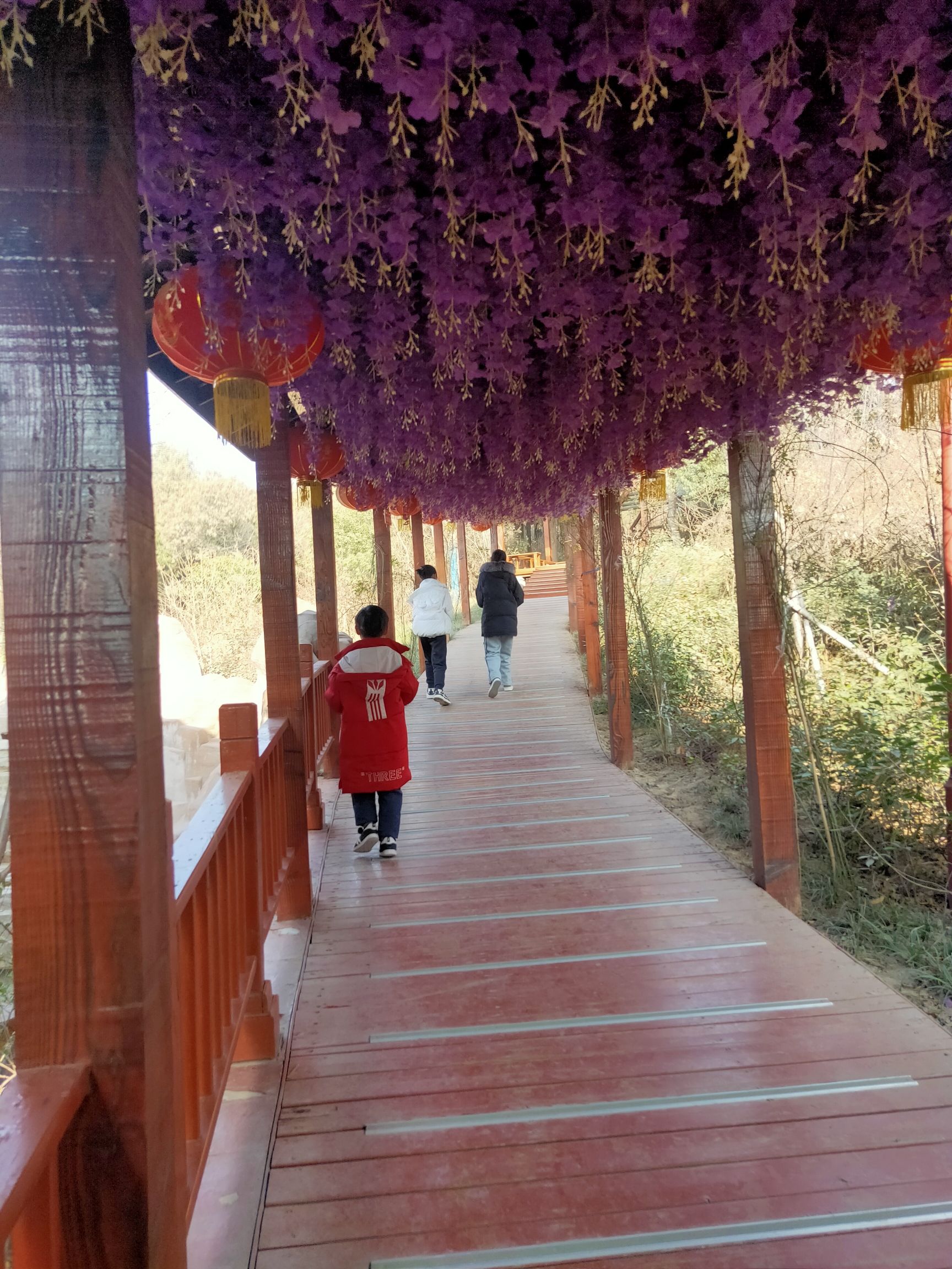 龙岗人文小镇(暂停开放)旅行图片 3