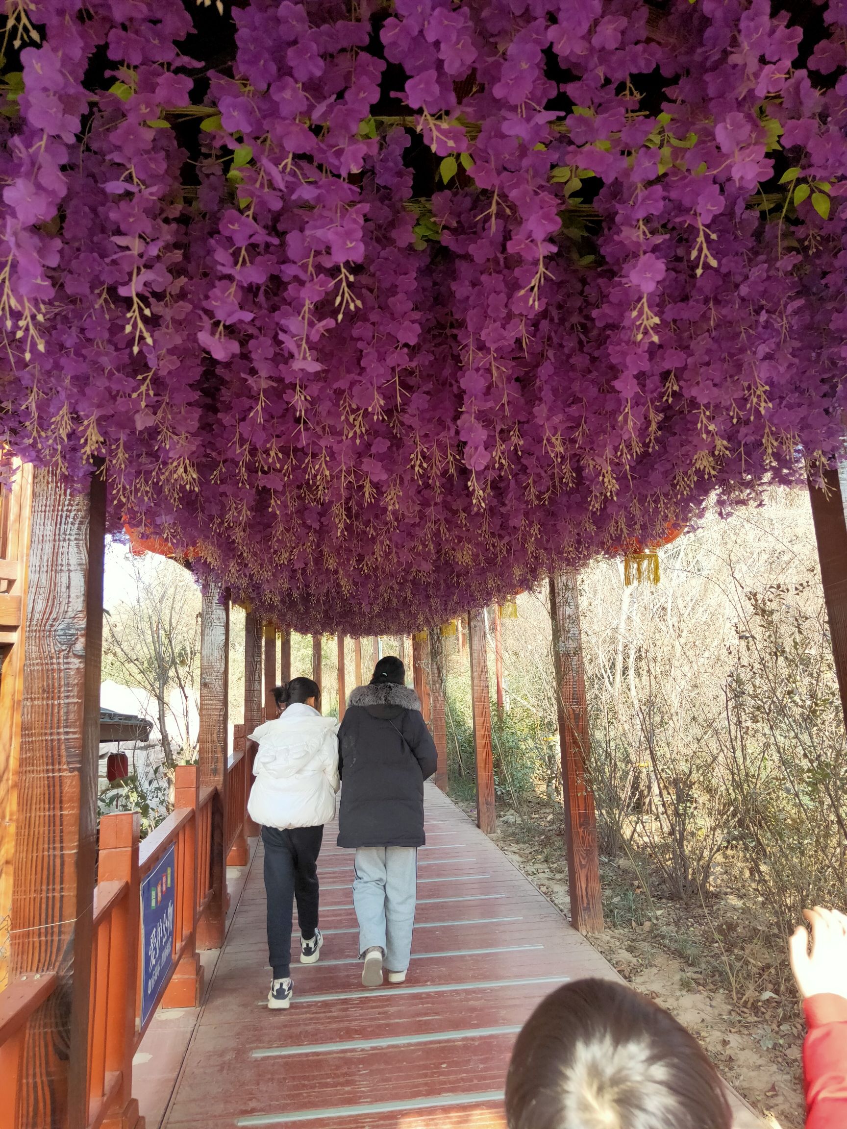 龙岗人文小镇(暂停开放)旅行图片 1