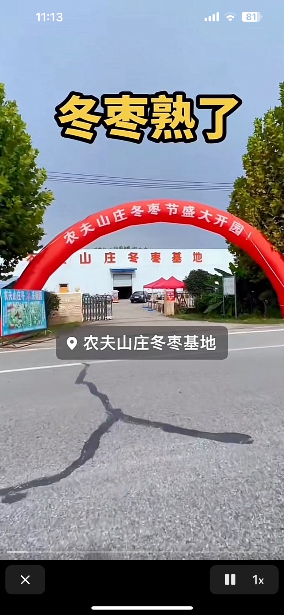 农夫山庄冬枣采摘园