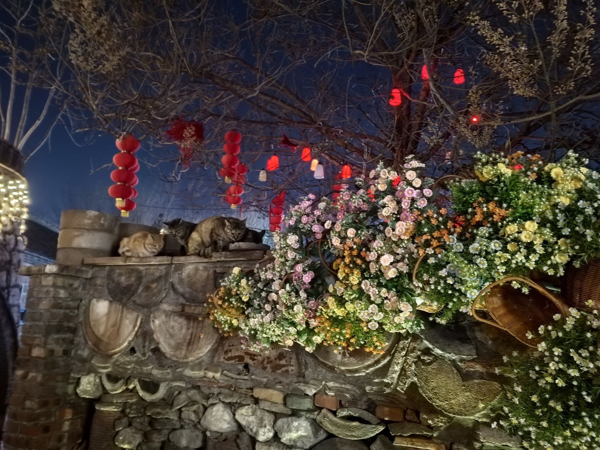 颜神古镇旅行图片 3
