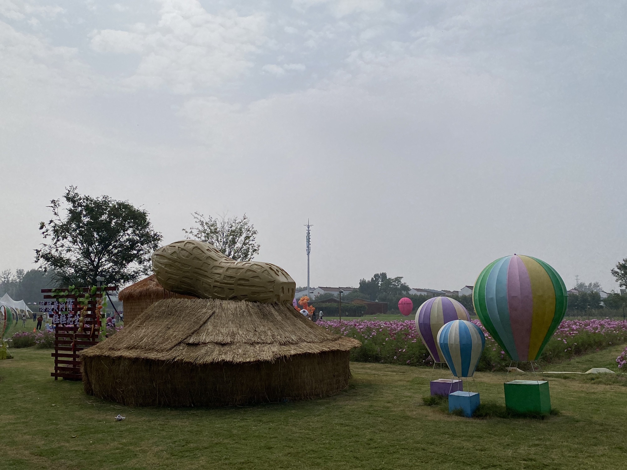 爱思嘉农业嘉年华旅行图片 1
