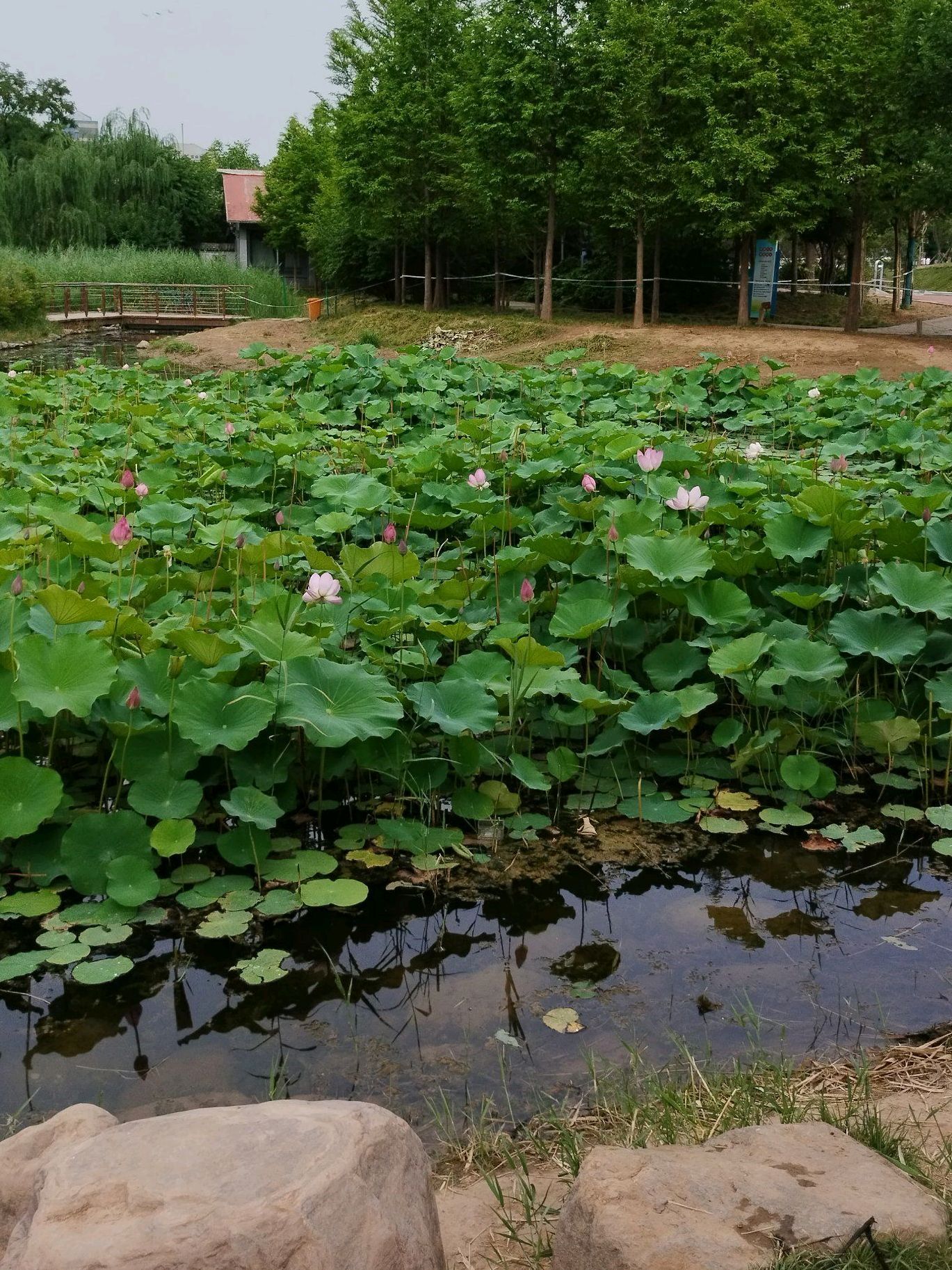 黄河博物馆旧址旅行图片 1