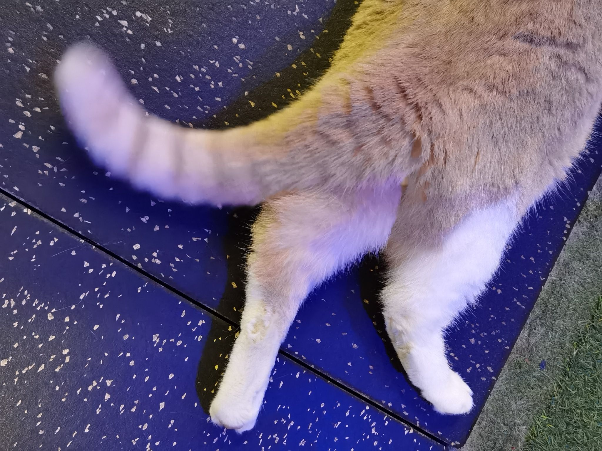 场地封面-Come in健身塑形综合运动俱乐部