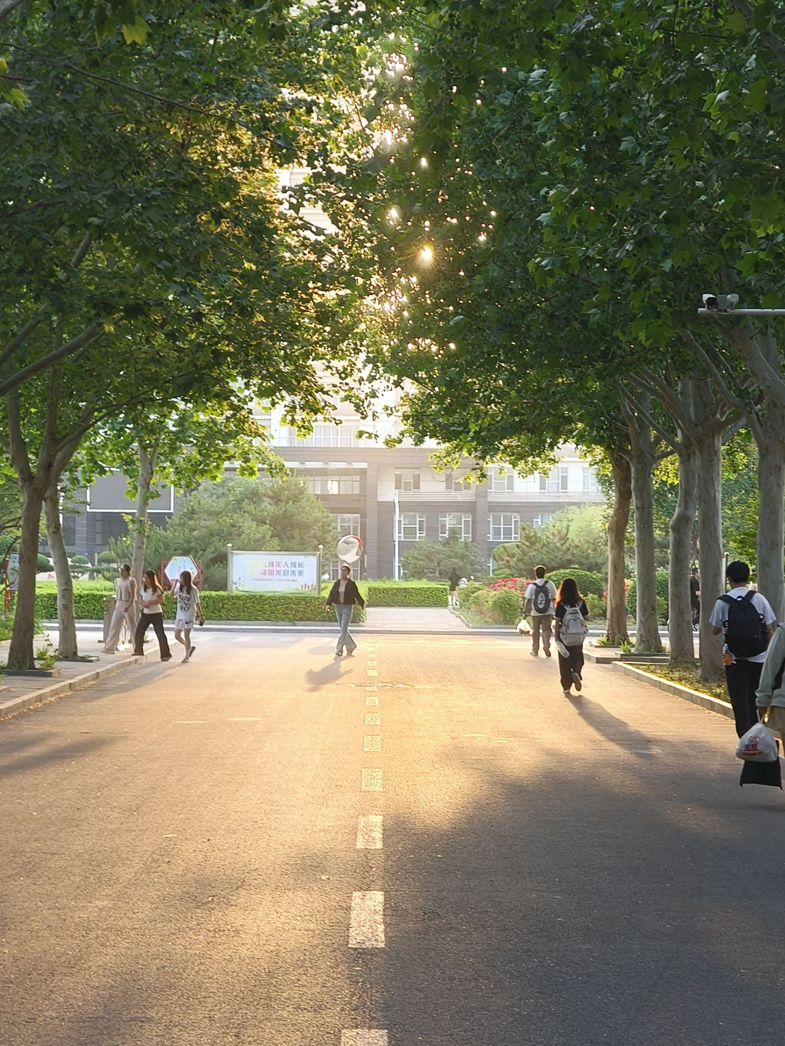 衡水市工人文化宫