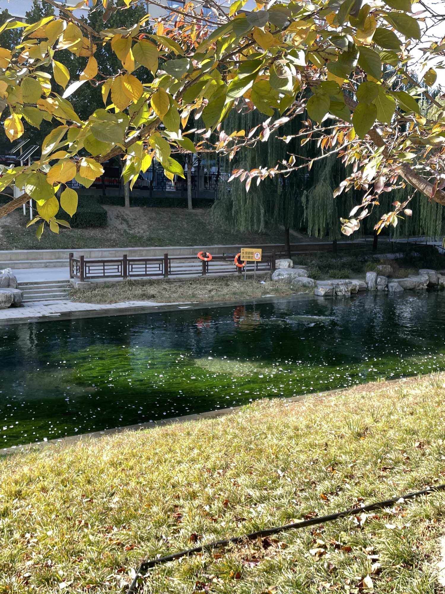 萧太后河源头广场旅行图片 1
