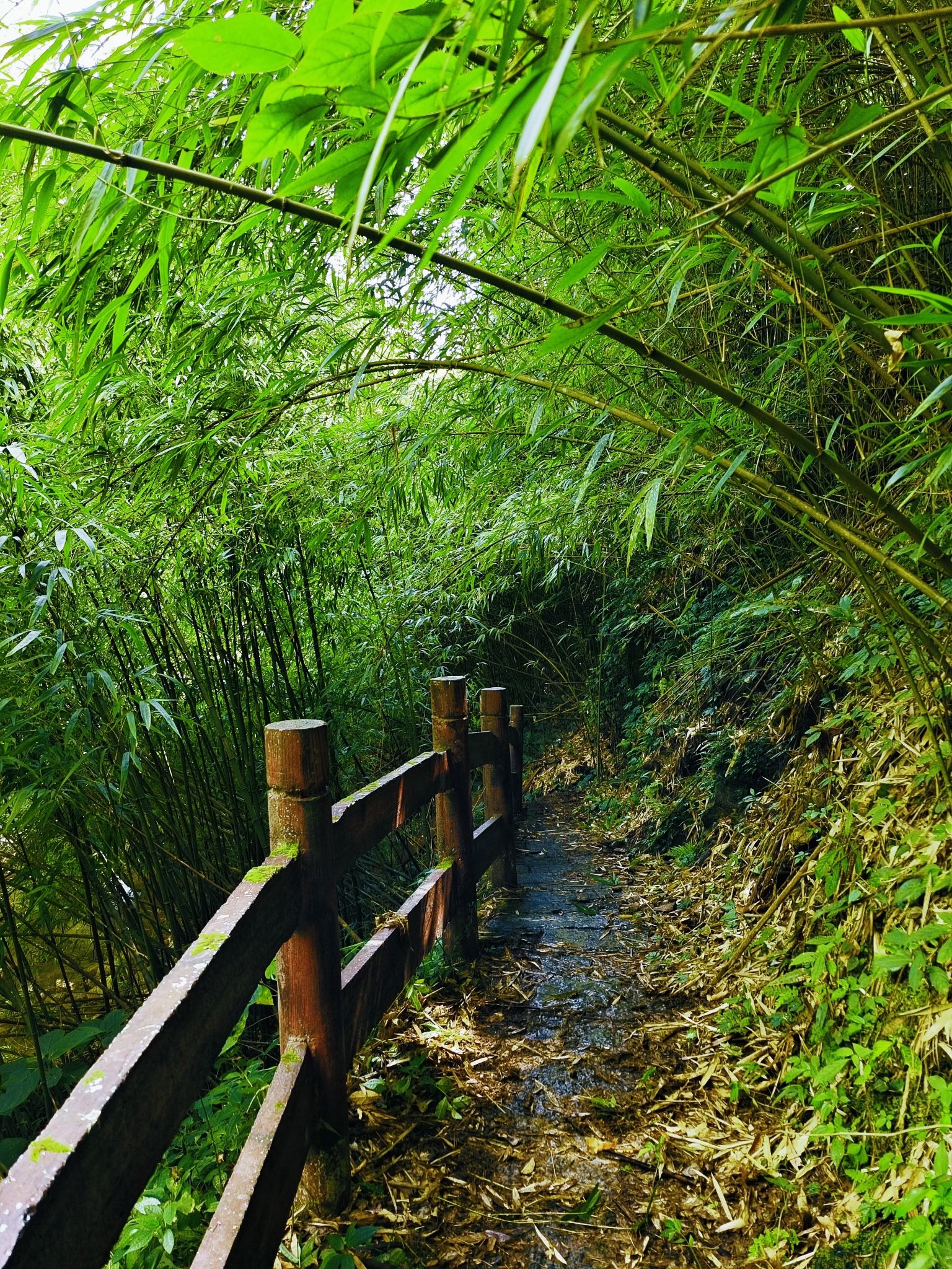 牛塘崖头瀑布旅行图片 1