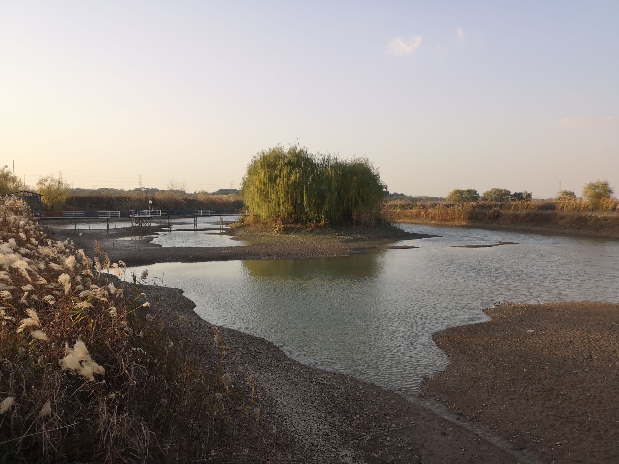 安徽芜湖东草湖省级湿地公园旅行图片 3