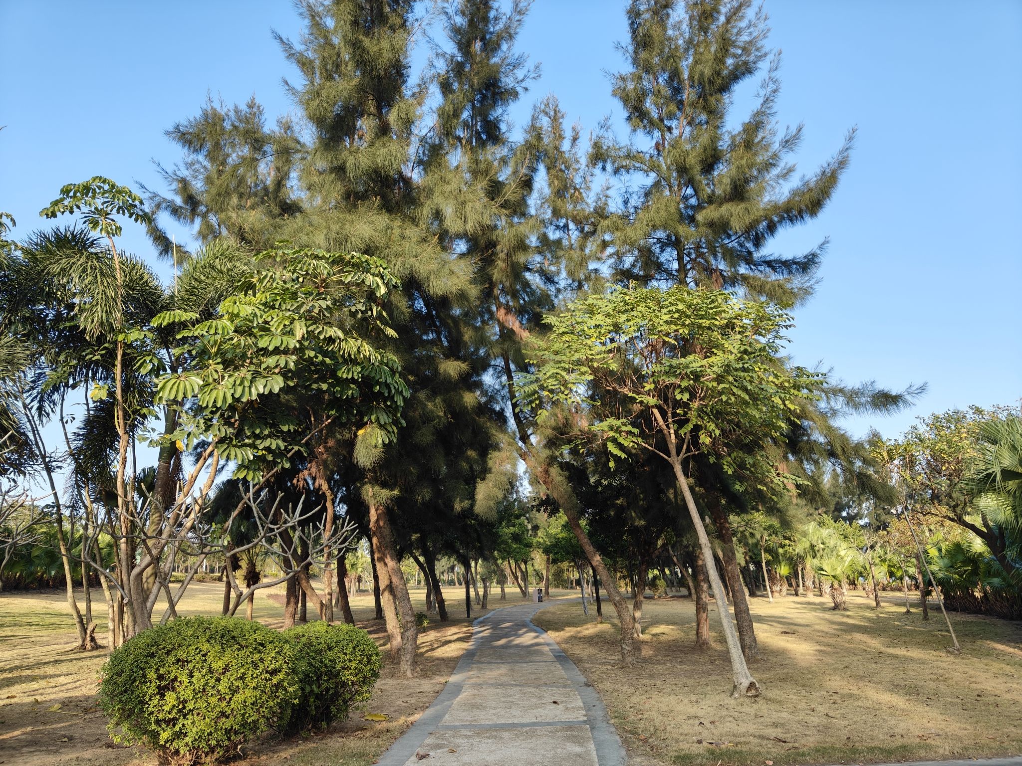 南虎湖公园旅行图片 3