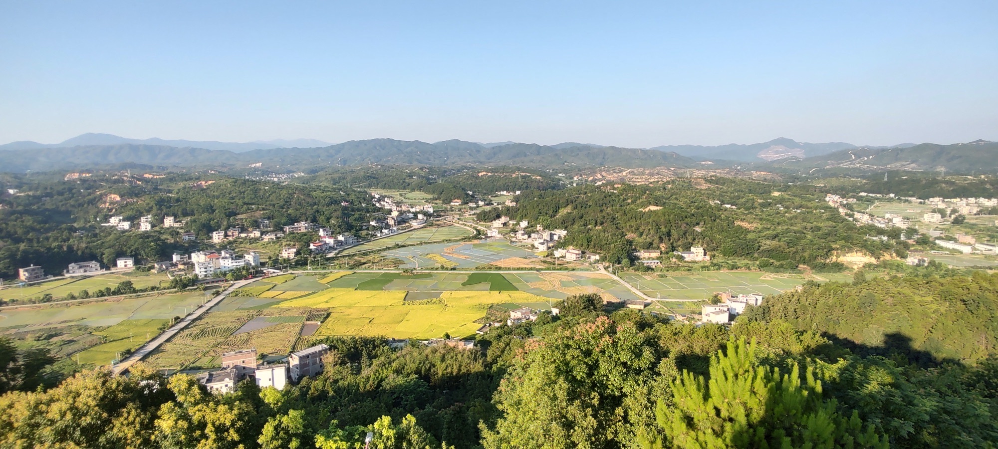 兴宁市铜鼓寨森林公园旅行图片 2
