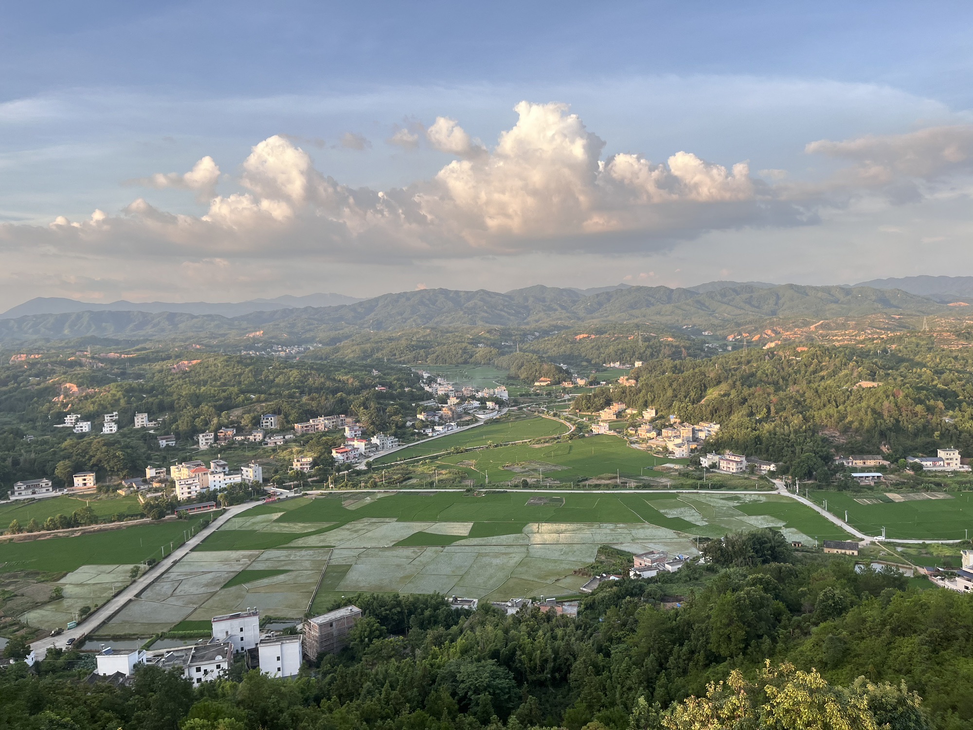 兴宁市铜鼓寨森林公园旅行图片 2