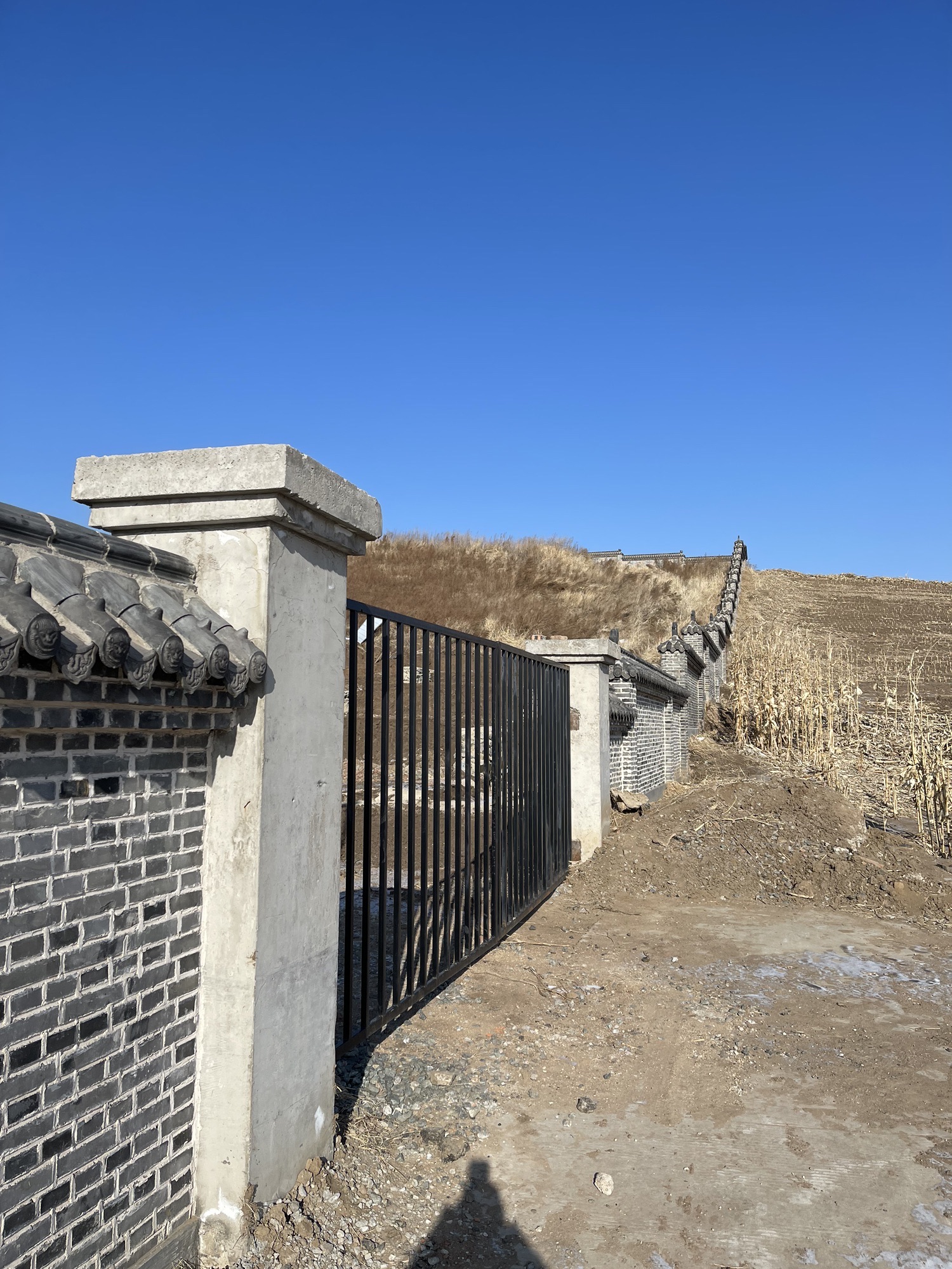 公主陵遗址公园(复原中)旅行图片 2