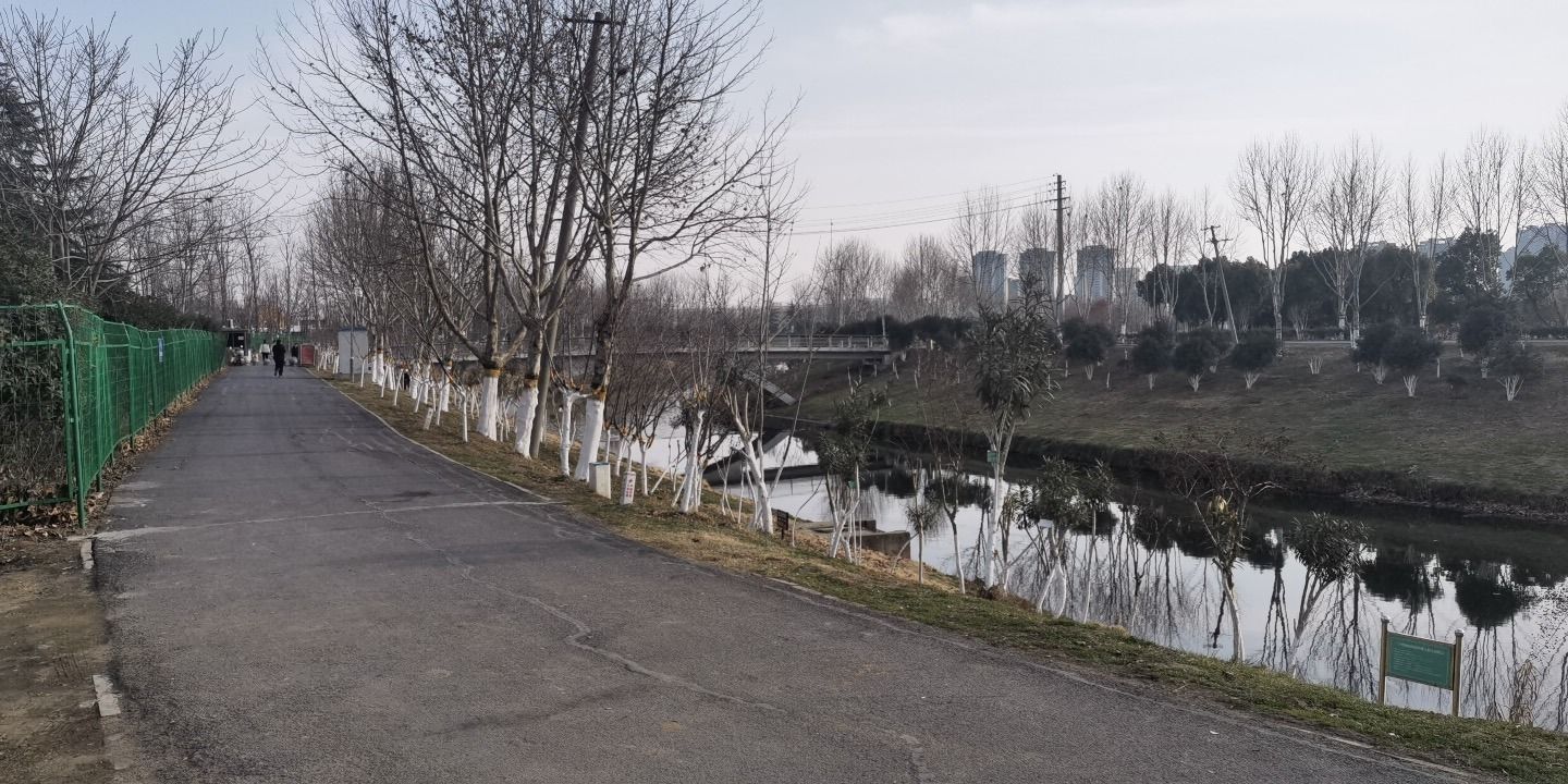 二十埠河中游湿地旅行图片 3