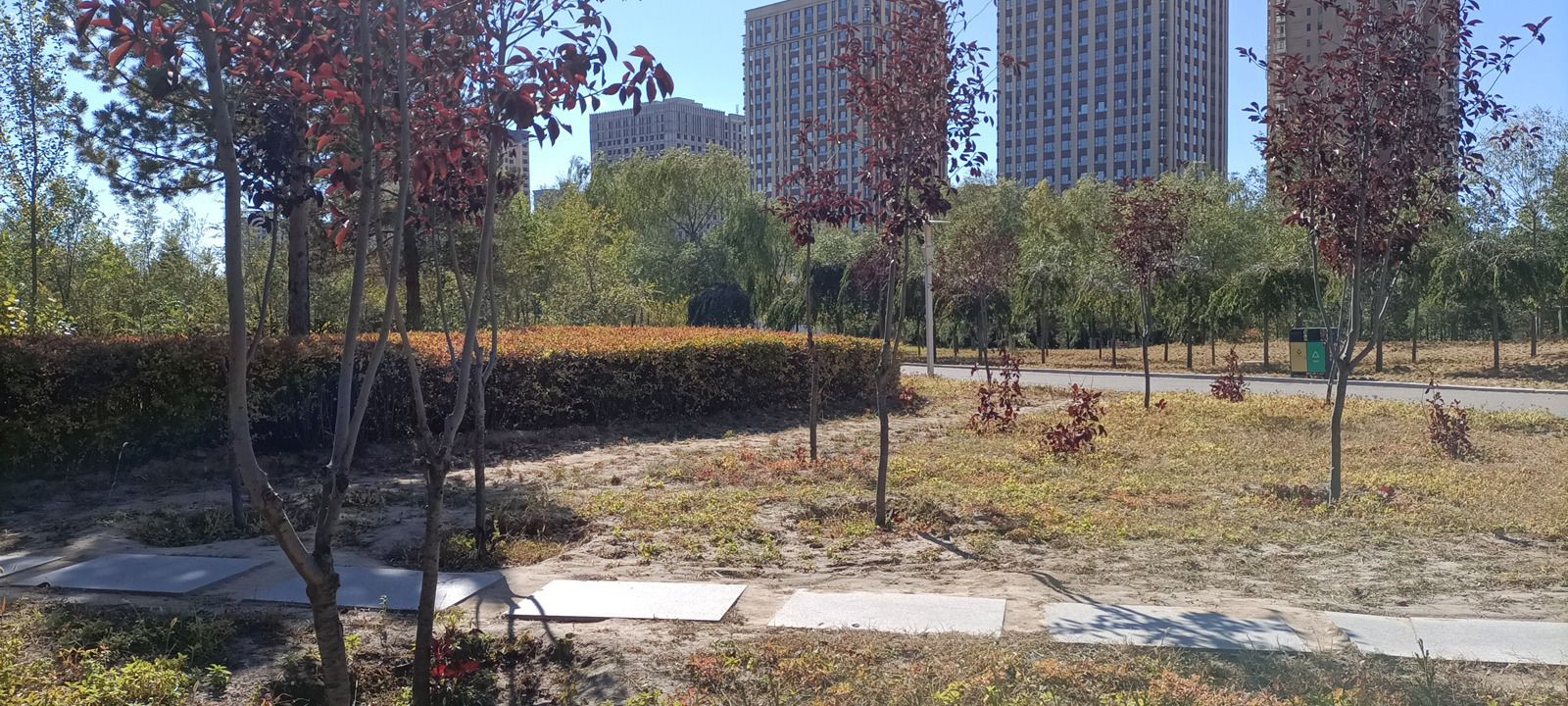 纺织公园旅行图片 1