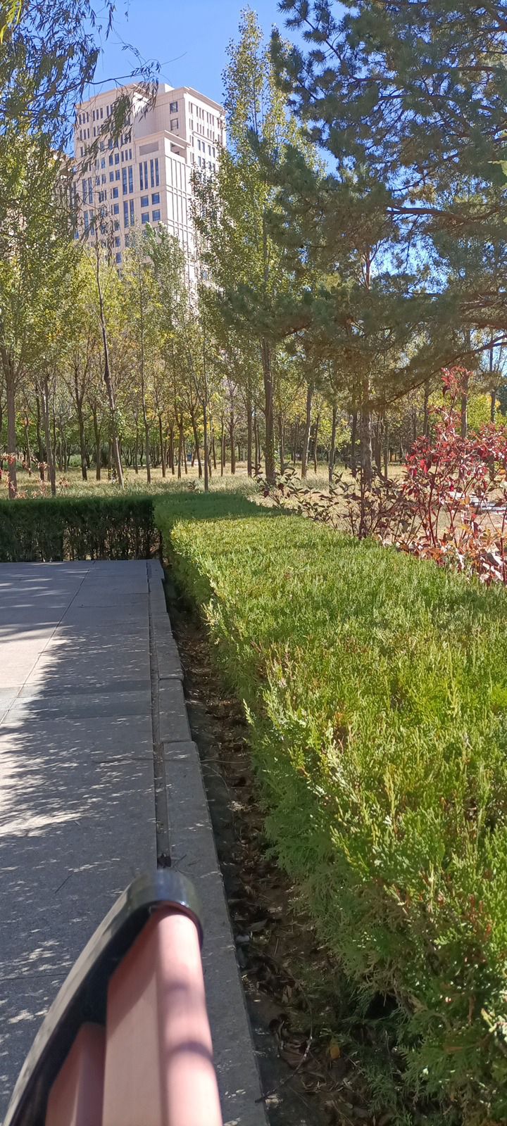 纺织公园旅行图片 3
