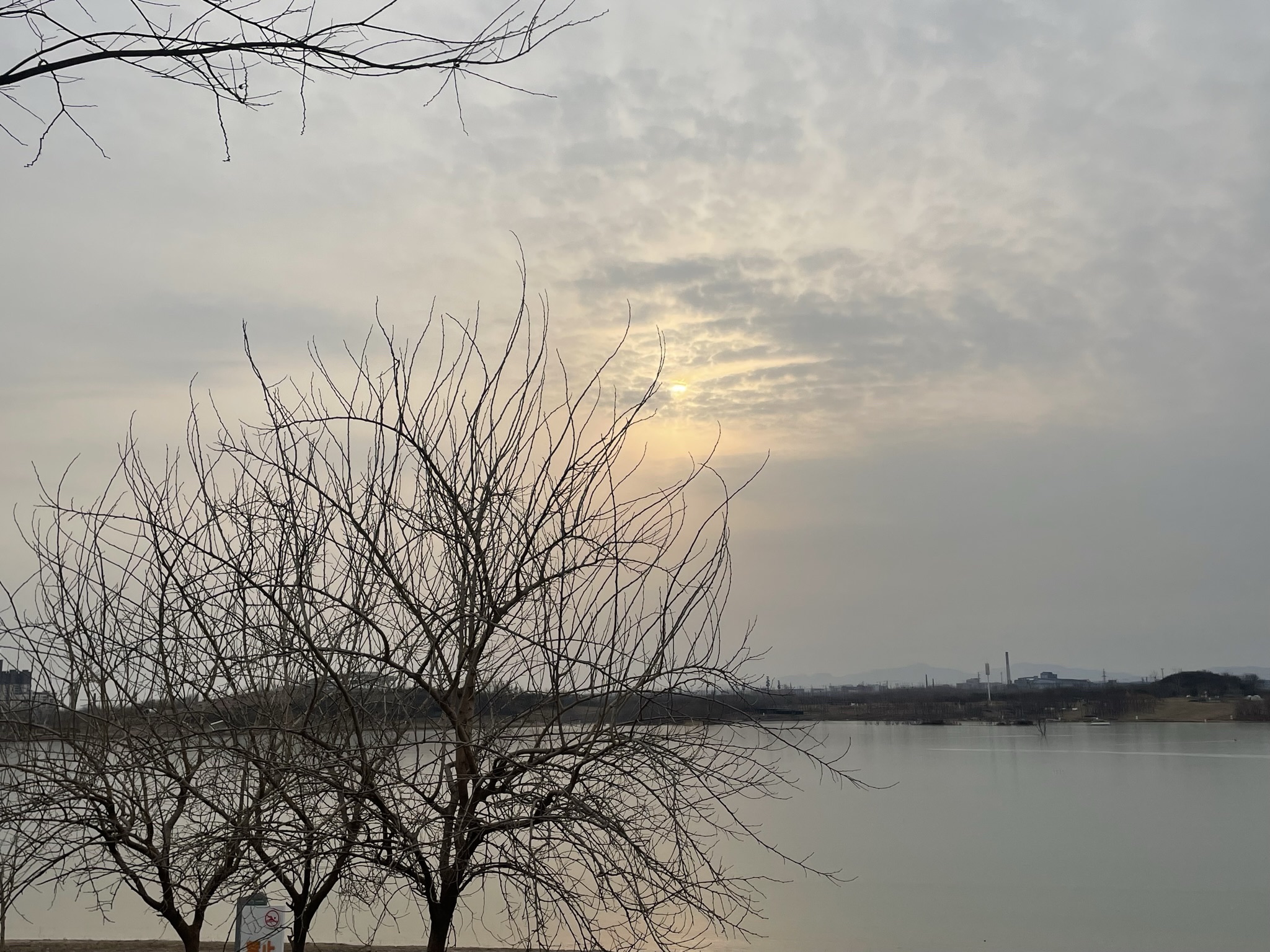 邯郸园博园旅行图片 1