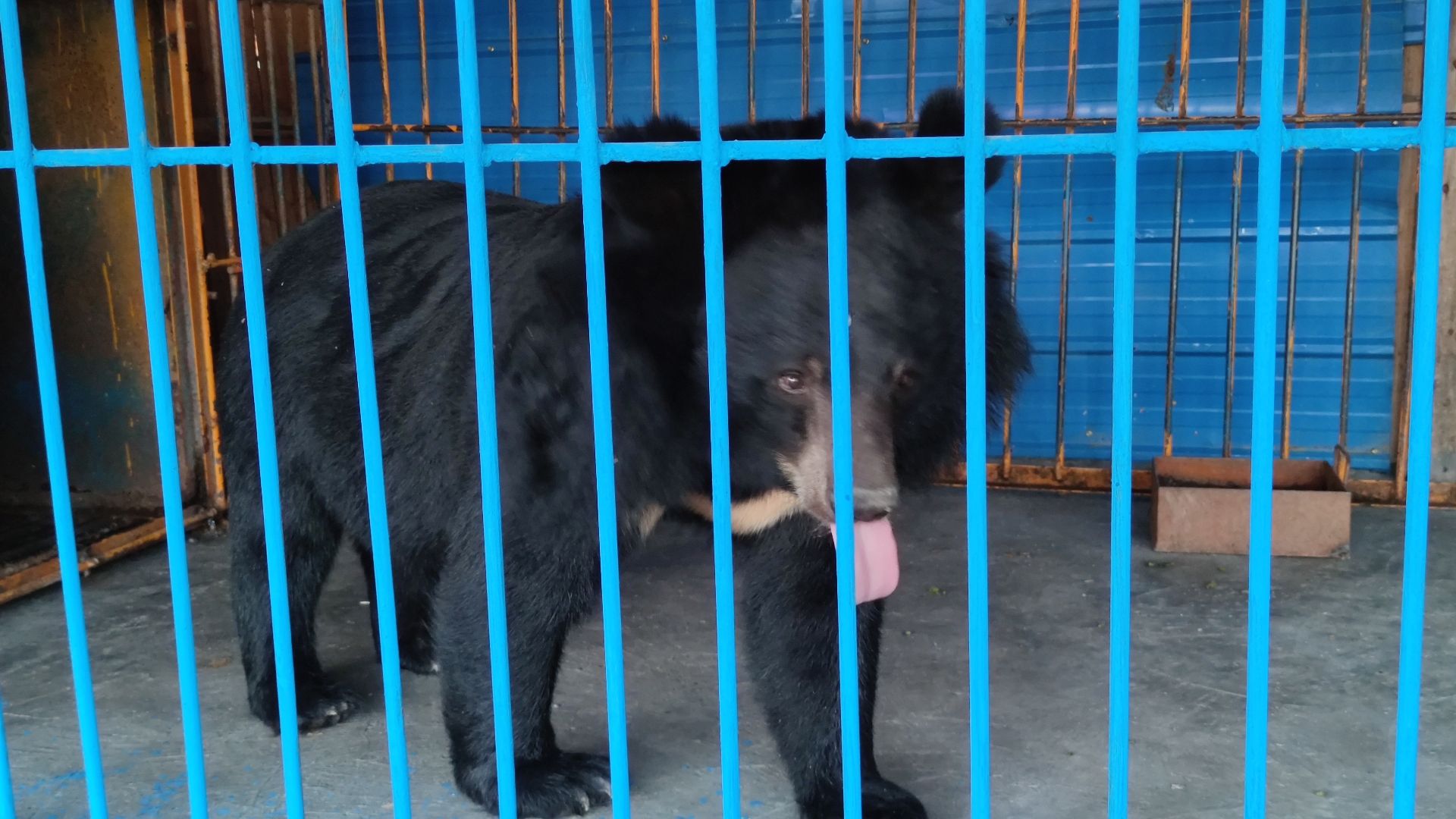 郴州四清湖下凤农耕体验园旅行图片 2