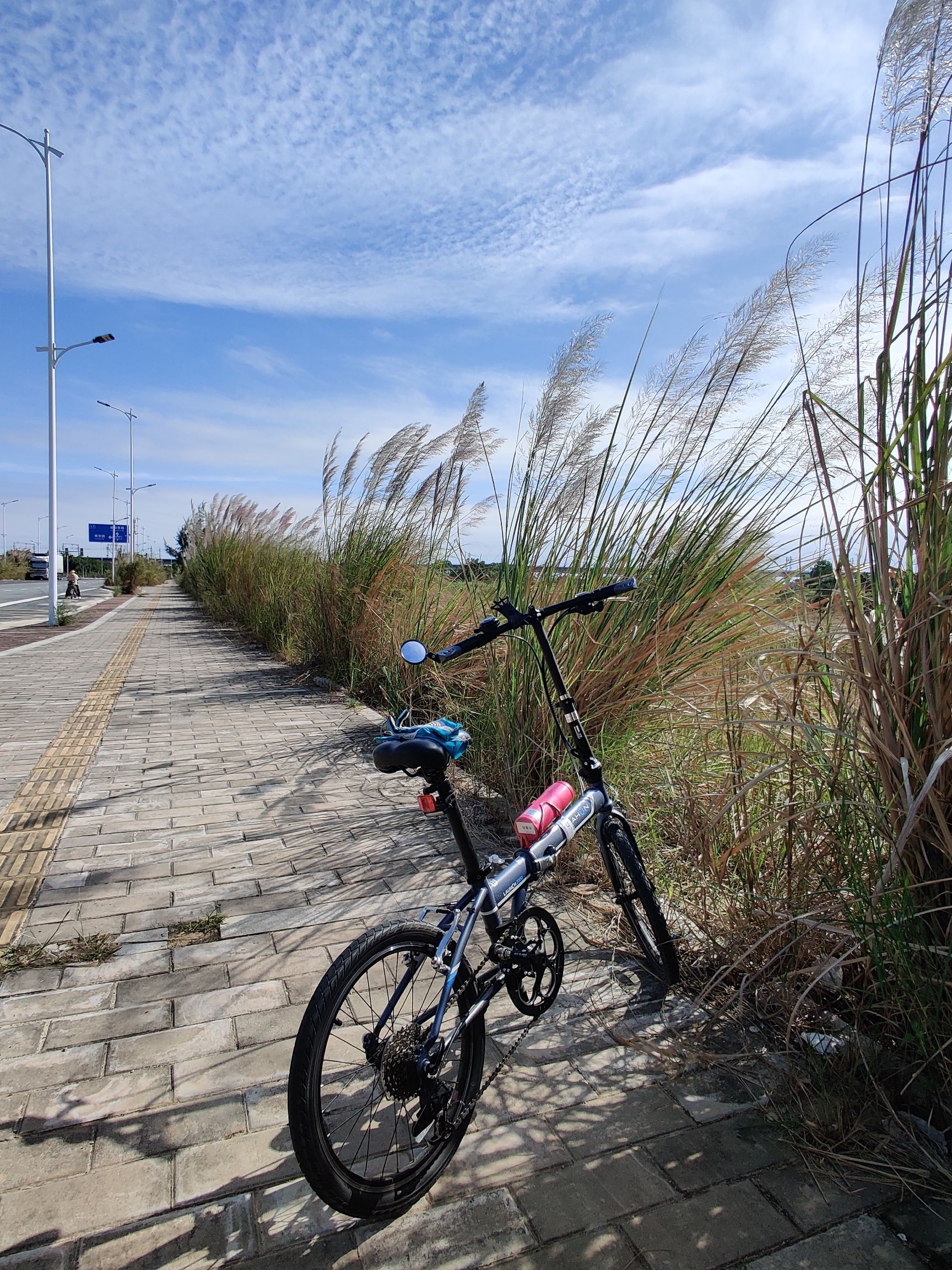 连围河生态公园旅行图片 3