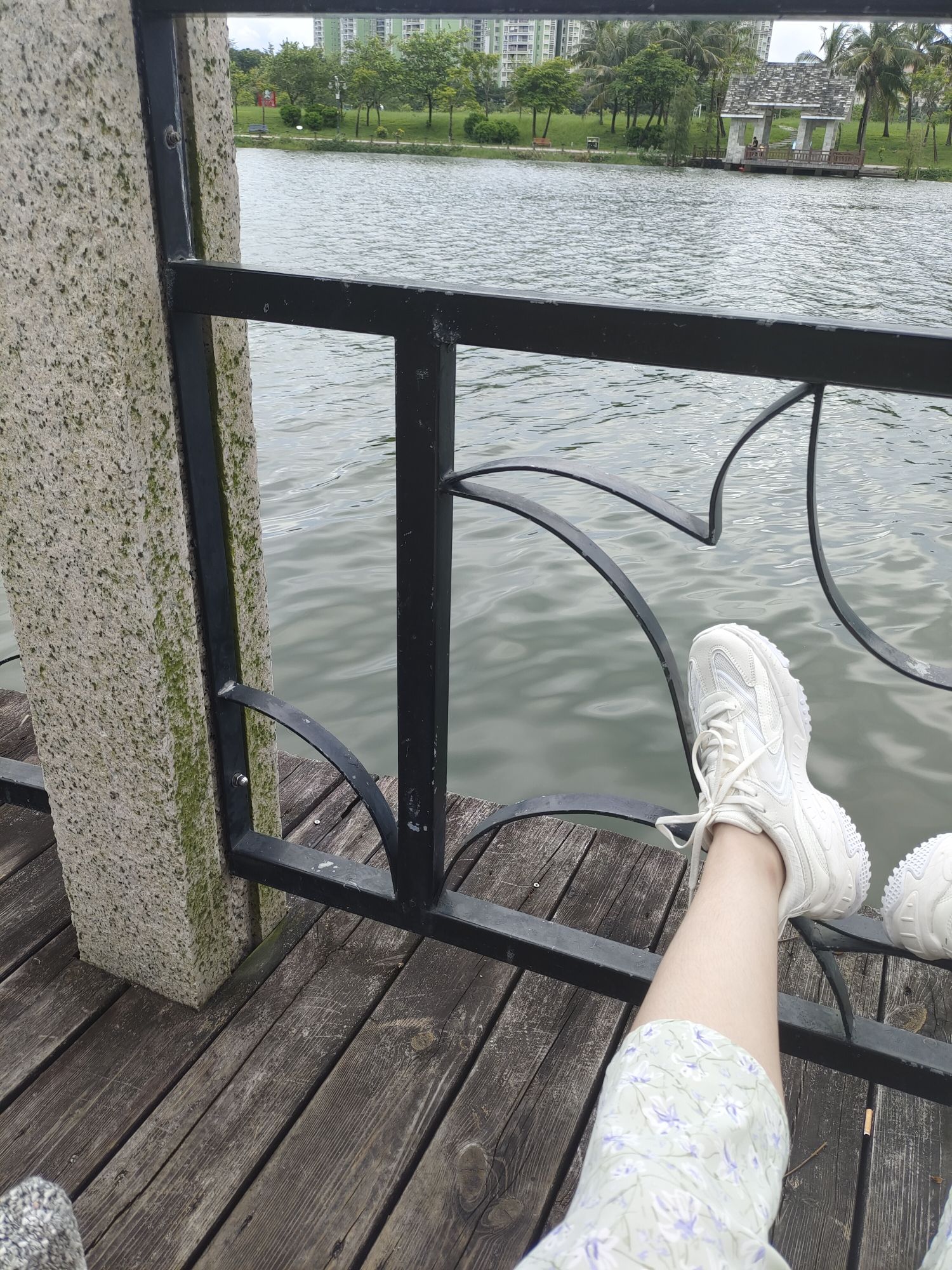 连围河生态公园旅行图片 2