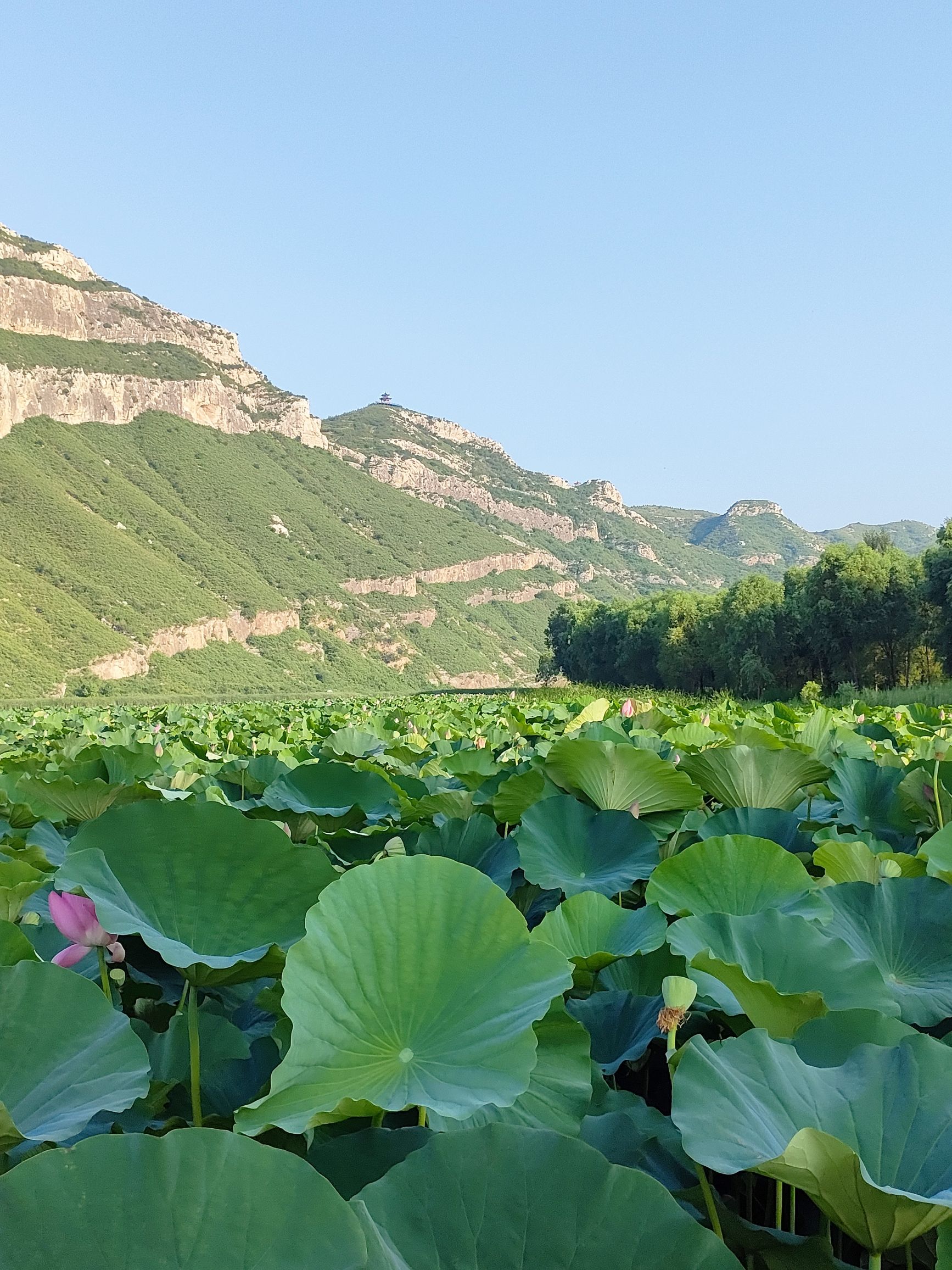 依湾农家旅行图片 3