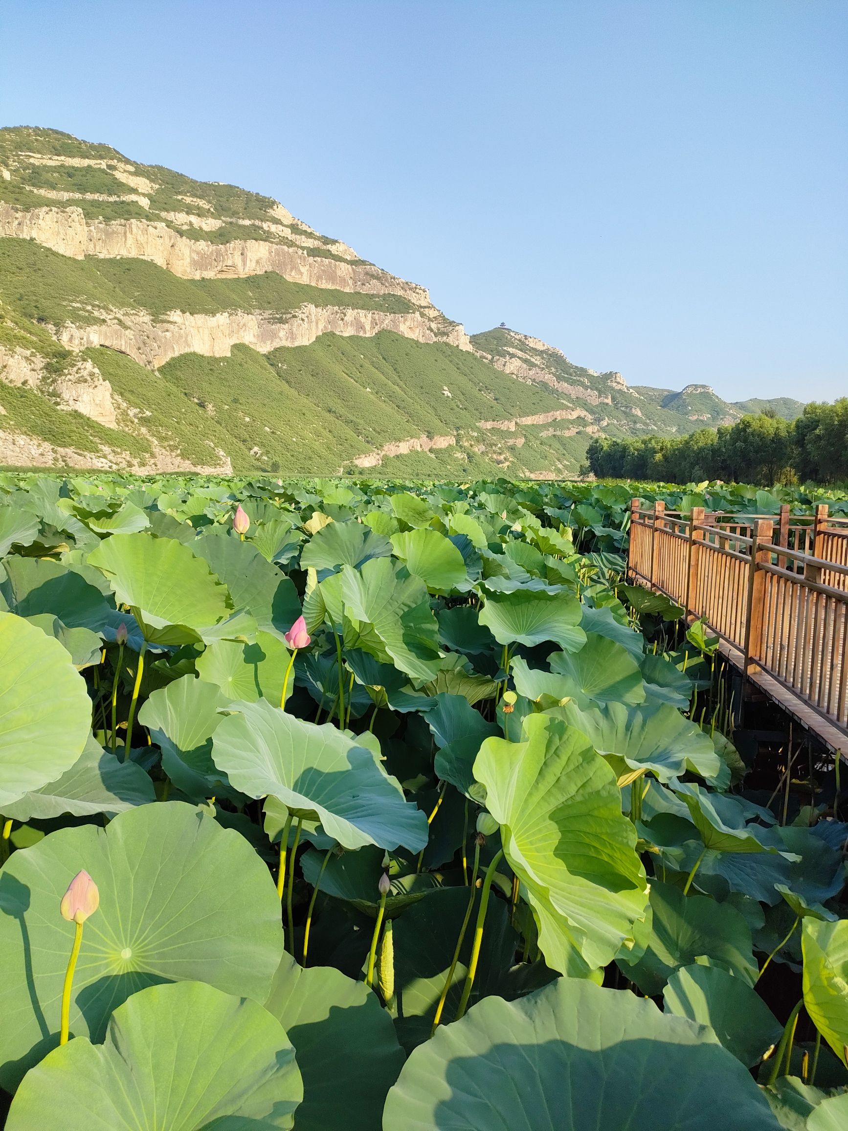 依湾农家旅行图片 2