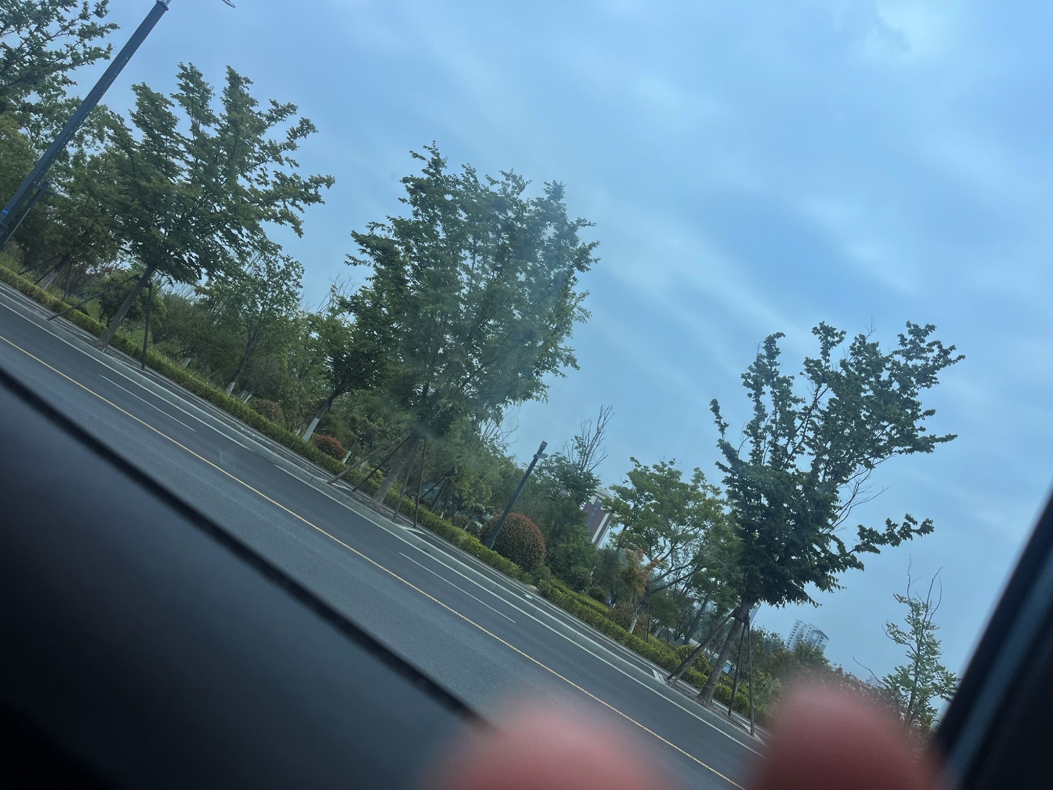 宿迁运河湾公园
