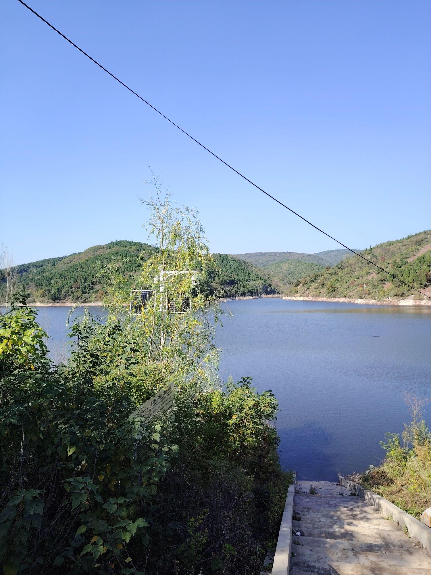 义马市清风山网红草粉黛草旅行图片 3